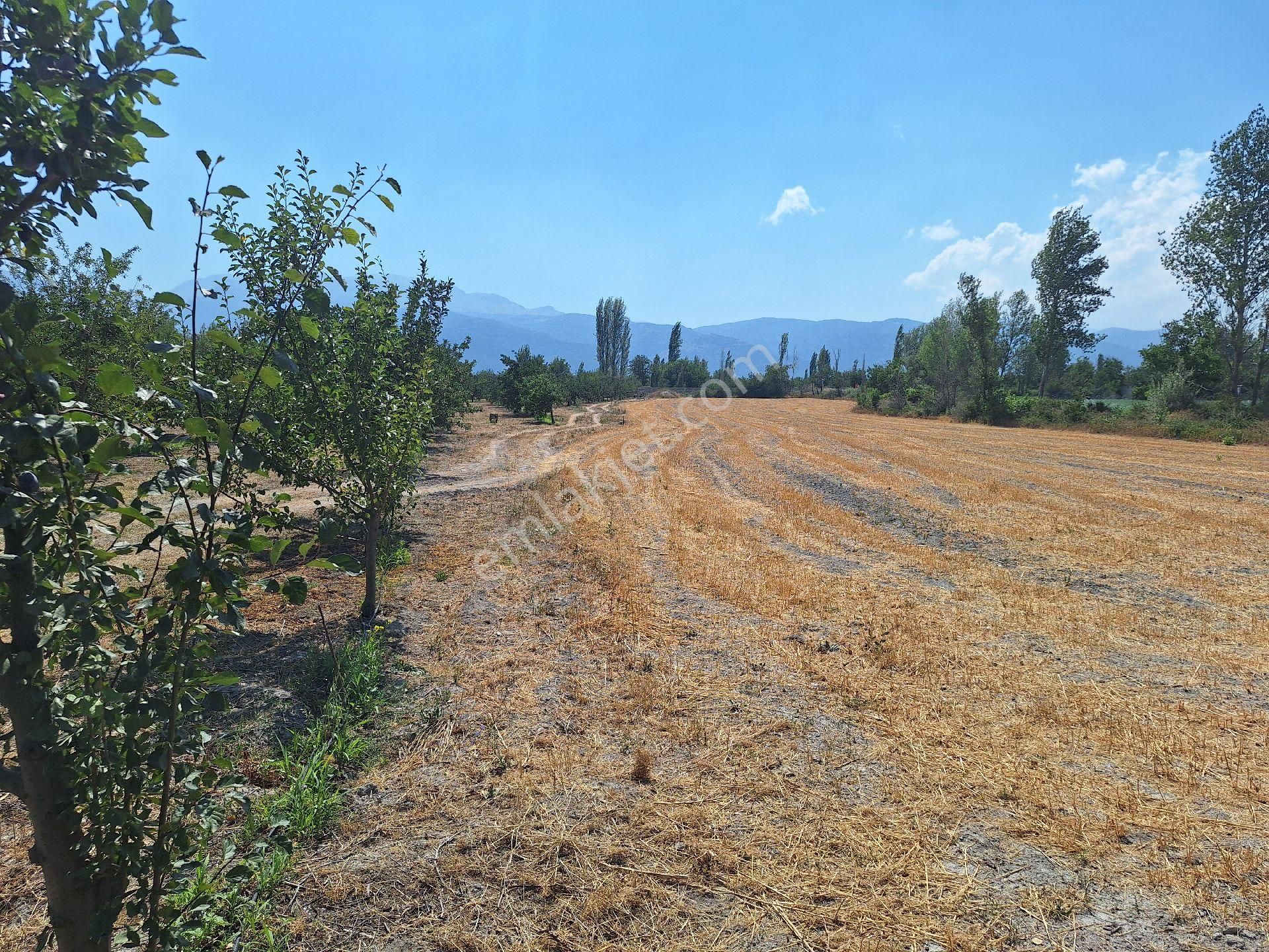 Daglı Emlaktan Derecine Kasabasinda