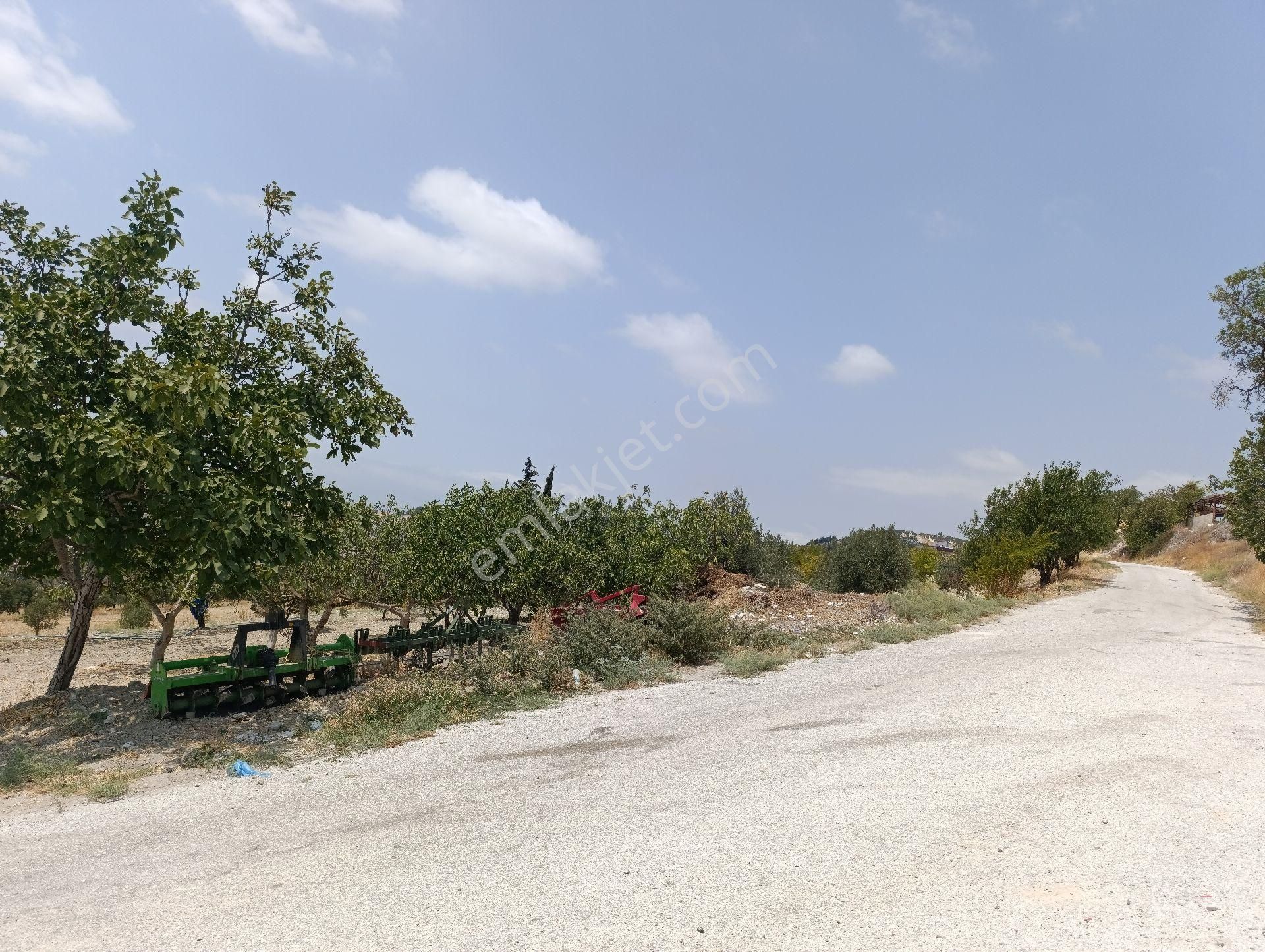 Üst Düzey Parsel Yola Sıfır Elektrik Ve Su Hattına 35 Metre Uzaklıkta