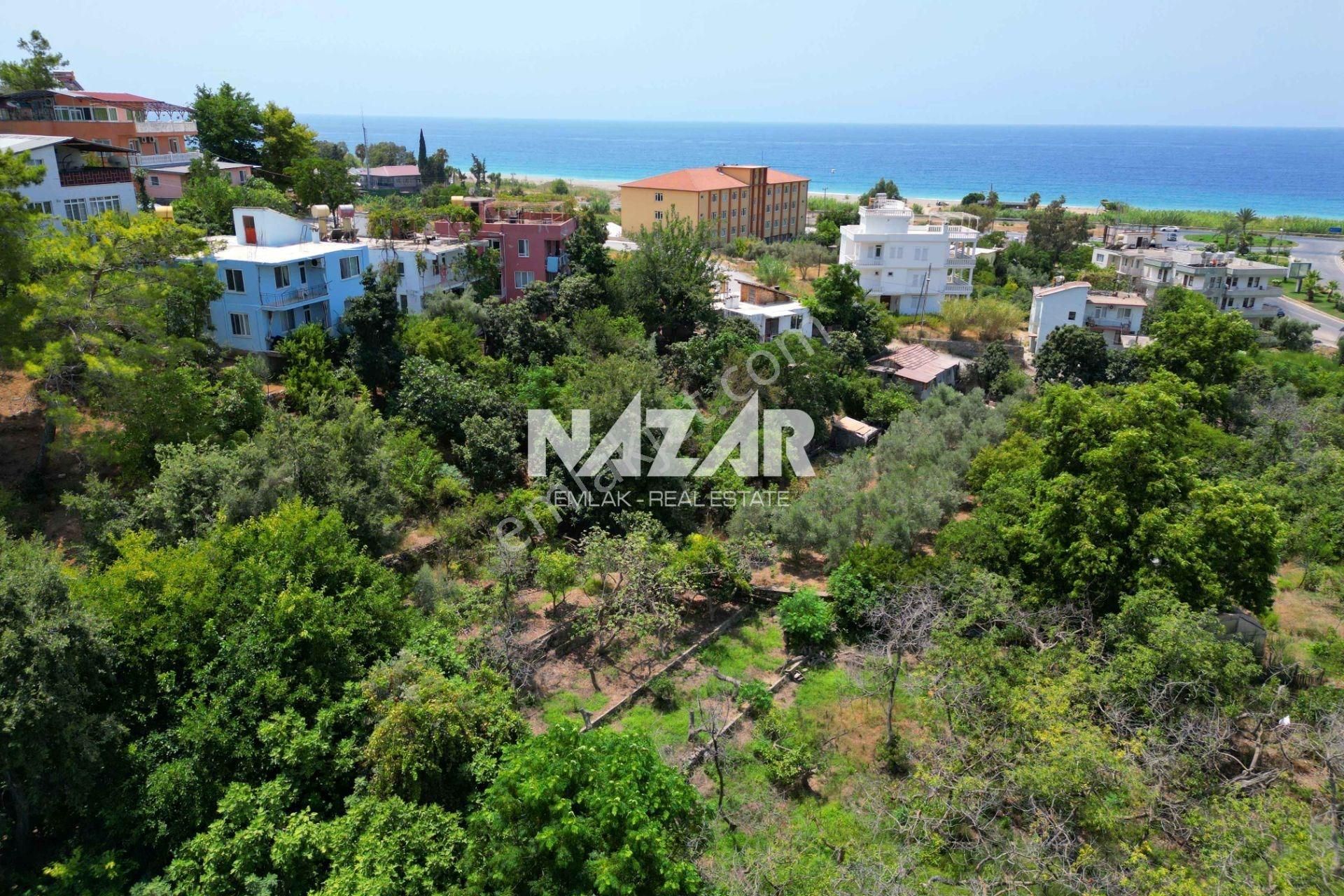 Alanya Demirtaş'ta 1.000 M² Satılık İmarlı Arsa - Denize 300 M. - Görsel 15