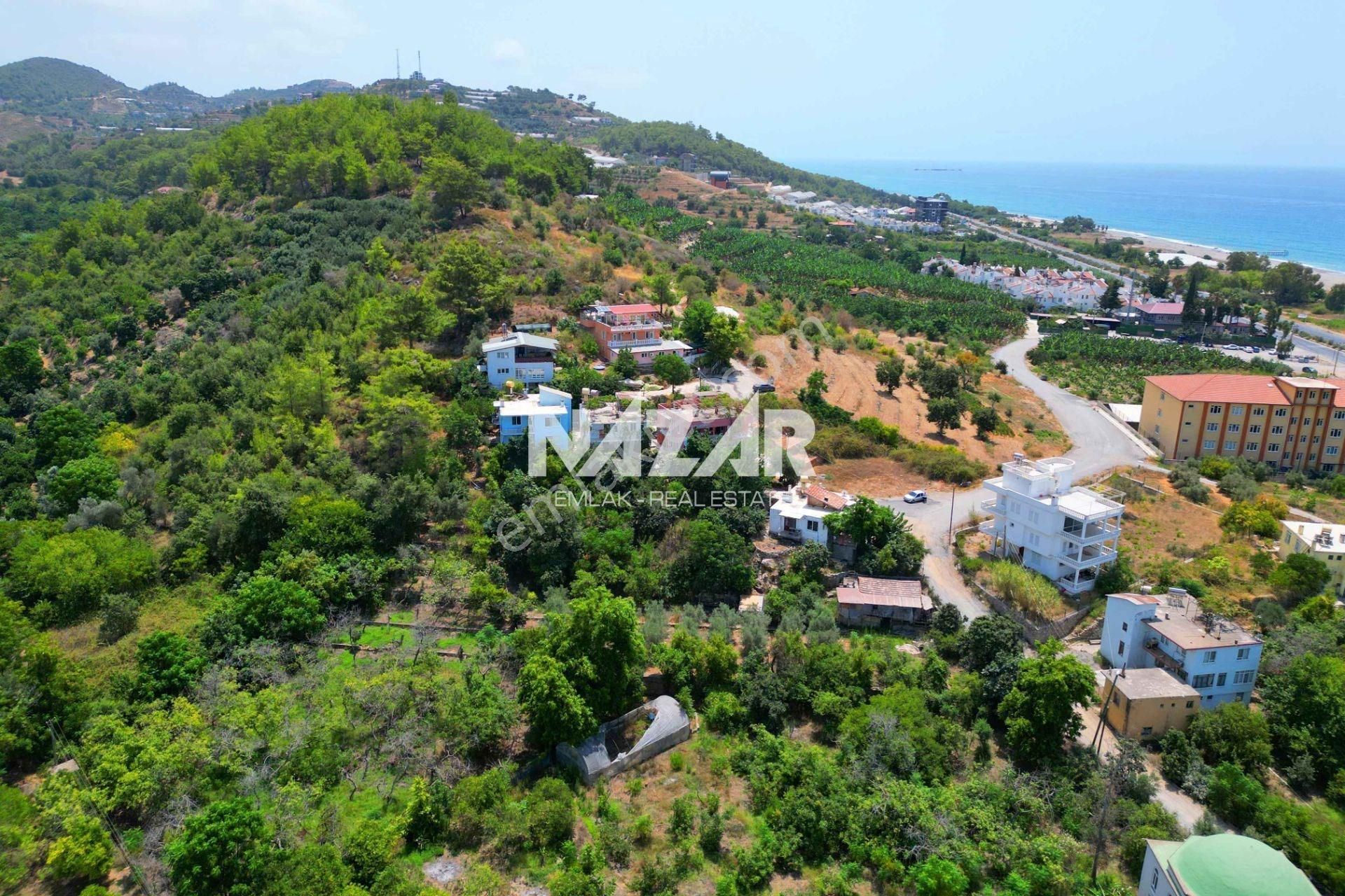 Alanya Demirtaş'ta 1.000 M² Satılık İmarlı Arsa - Denize 300 M. - Görsel 10