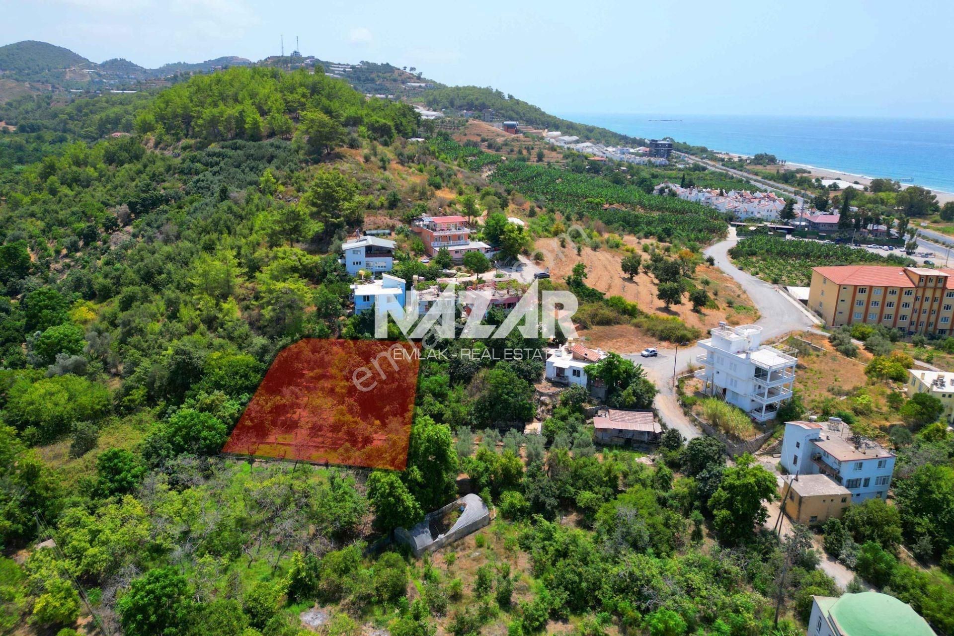 Alanya Demirtaş'ta 1.000 M² Satılık İmarlı Arsa - Denize 300 M. - Görsel 6