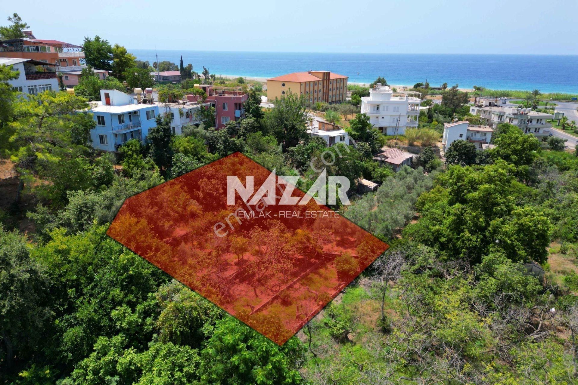 Alanya Demirtaş'ta 1.000 M² Satılık İmarlı Arsa - Denize 300 M. - Görsel 3