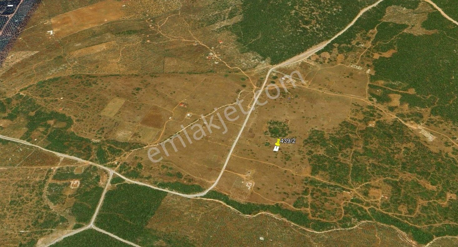 Didim Akyeniköy Balova2 Mevkisinde 306 M2 İmarlı Villa Arsası