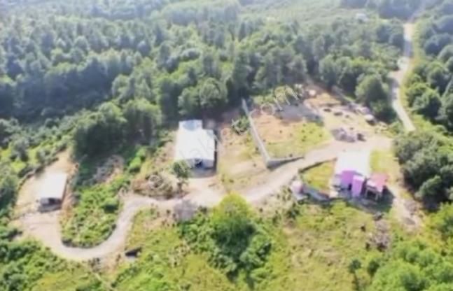 4637 M2 Doğayla İç İçe Arsa Acil Satılık Pazarlık Payı Vardır