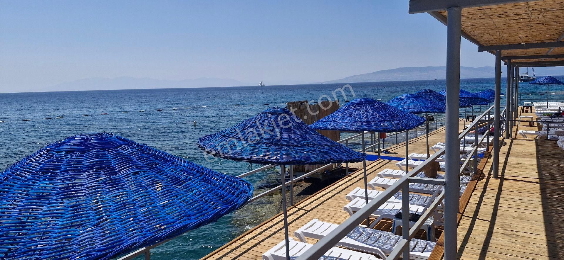 Bodrum Akyarlar' Da Kiralık Villa