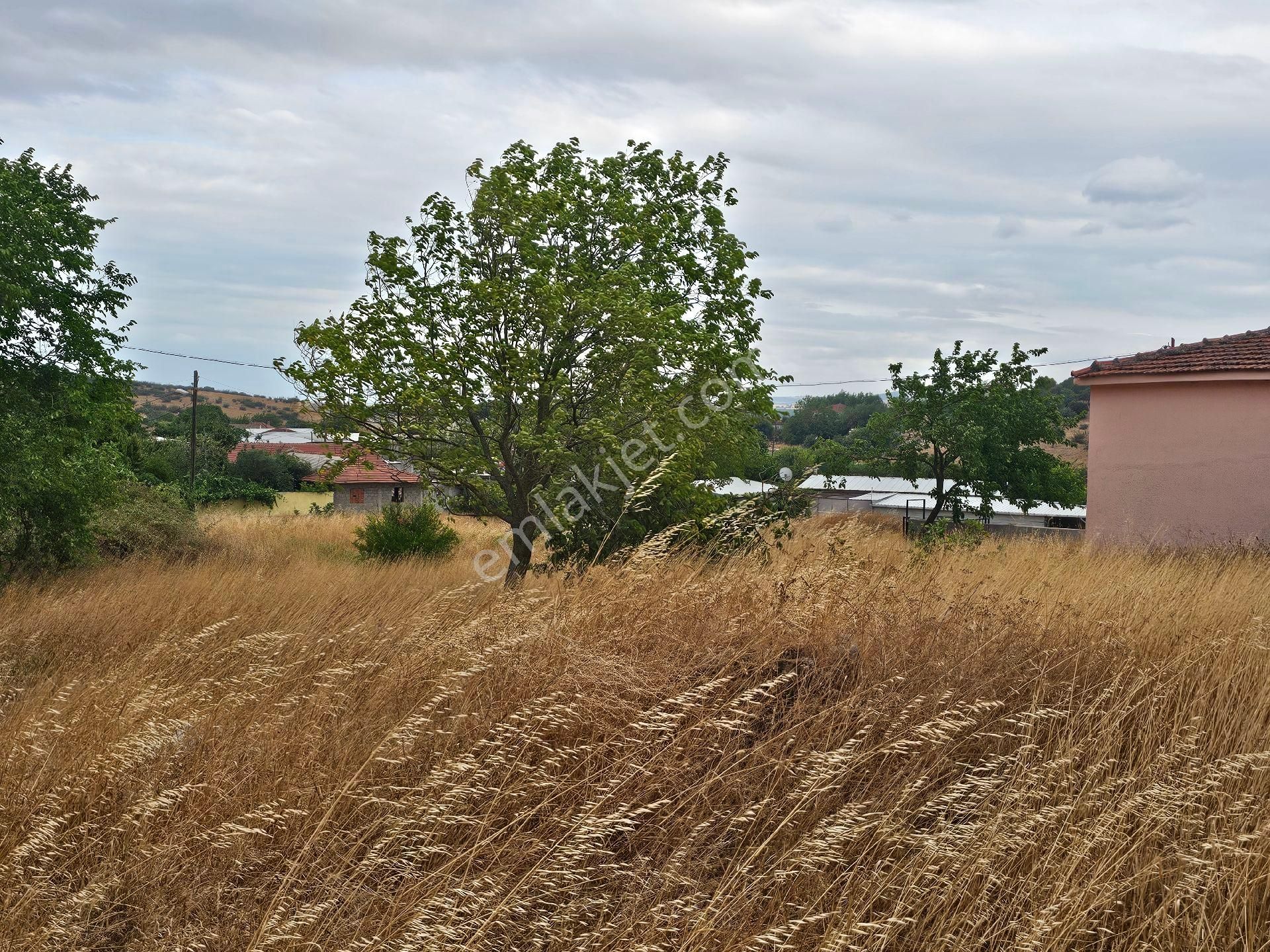 Alp Yapı Emlak'tan Gönen Taştepe Mah. Satılık Müstakil Köy Evimiz - Görsel 26