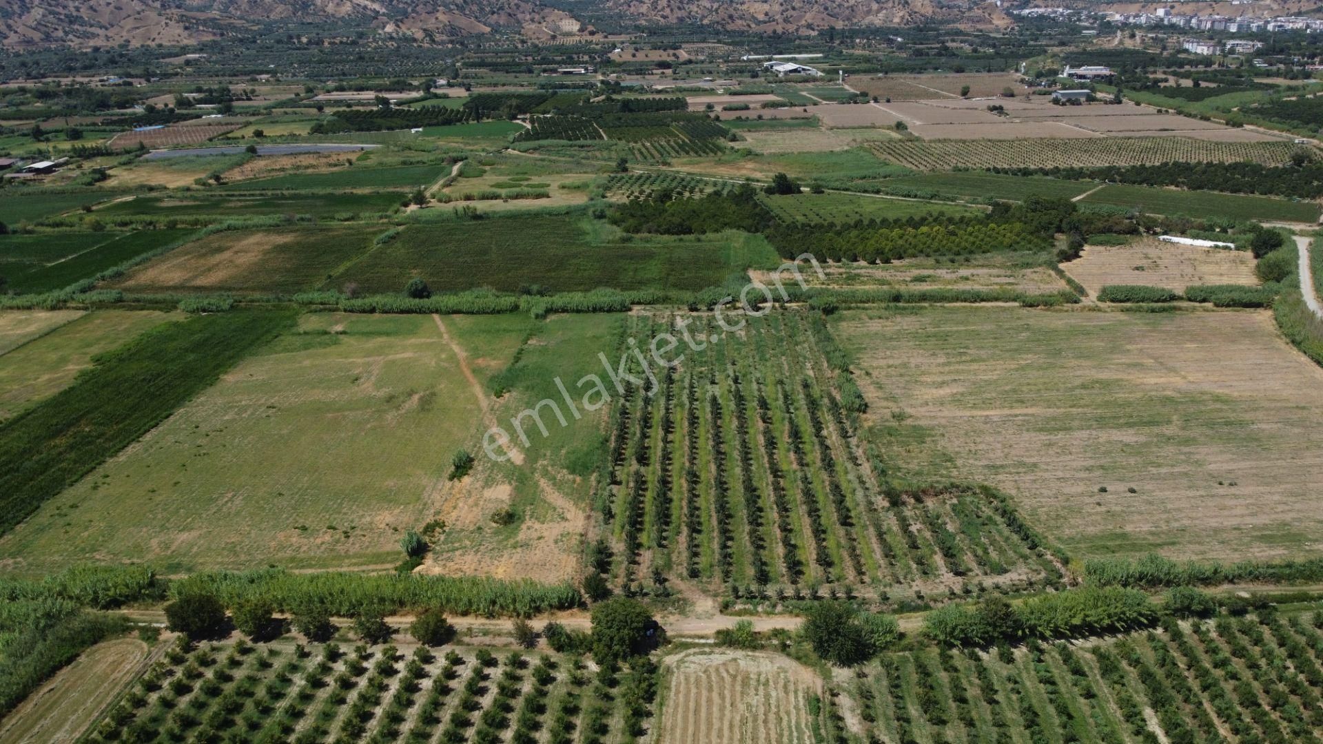 🎉 Atça’da 10.489 M2 Harika Bahçe Satılıktır 🎉 - Görsel 2