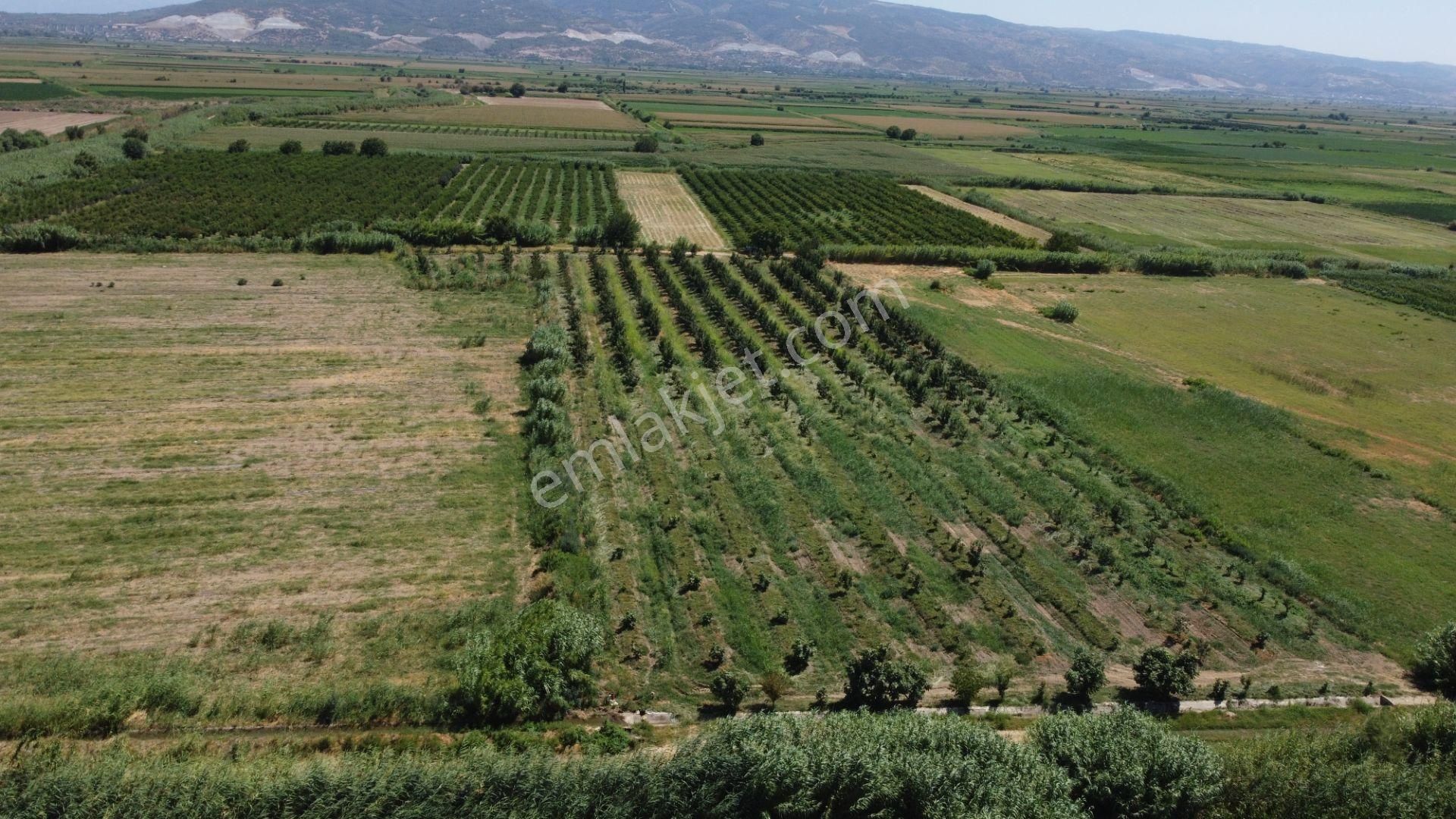 🎉 Atça’da 10.489 M2 Harika Bahçe Satılıktır 🎉 - Görsel 6
