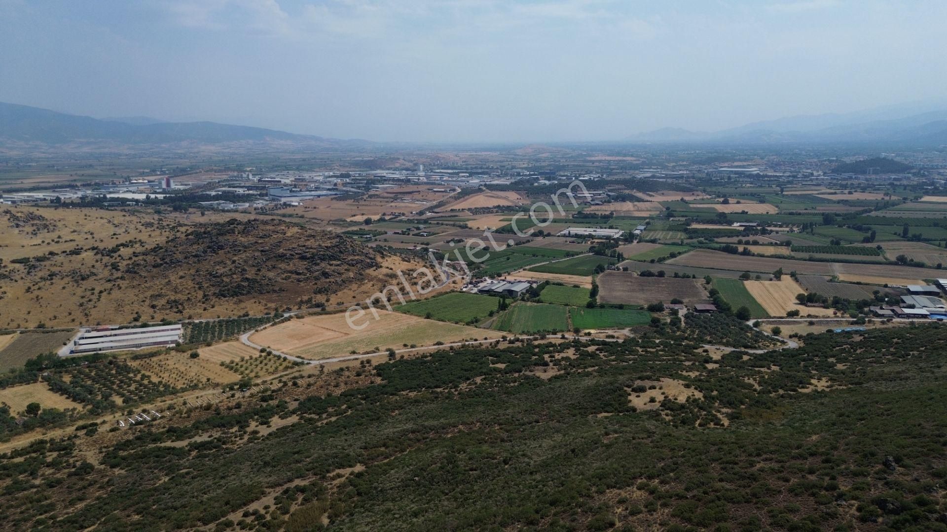 İzmir Tire Karateke Mahallesi'nde Satılık Tarla! - Görsel 5
