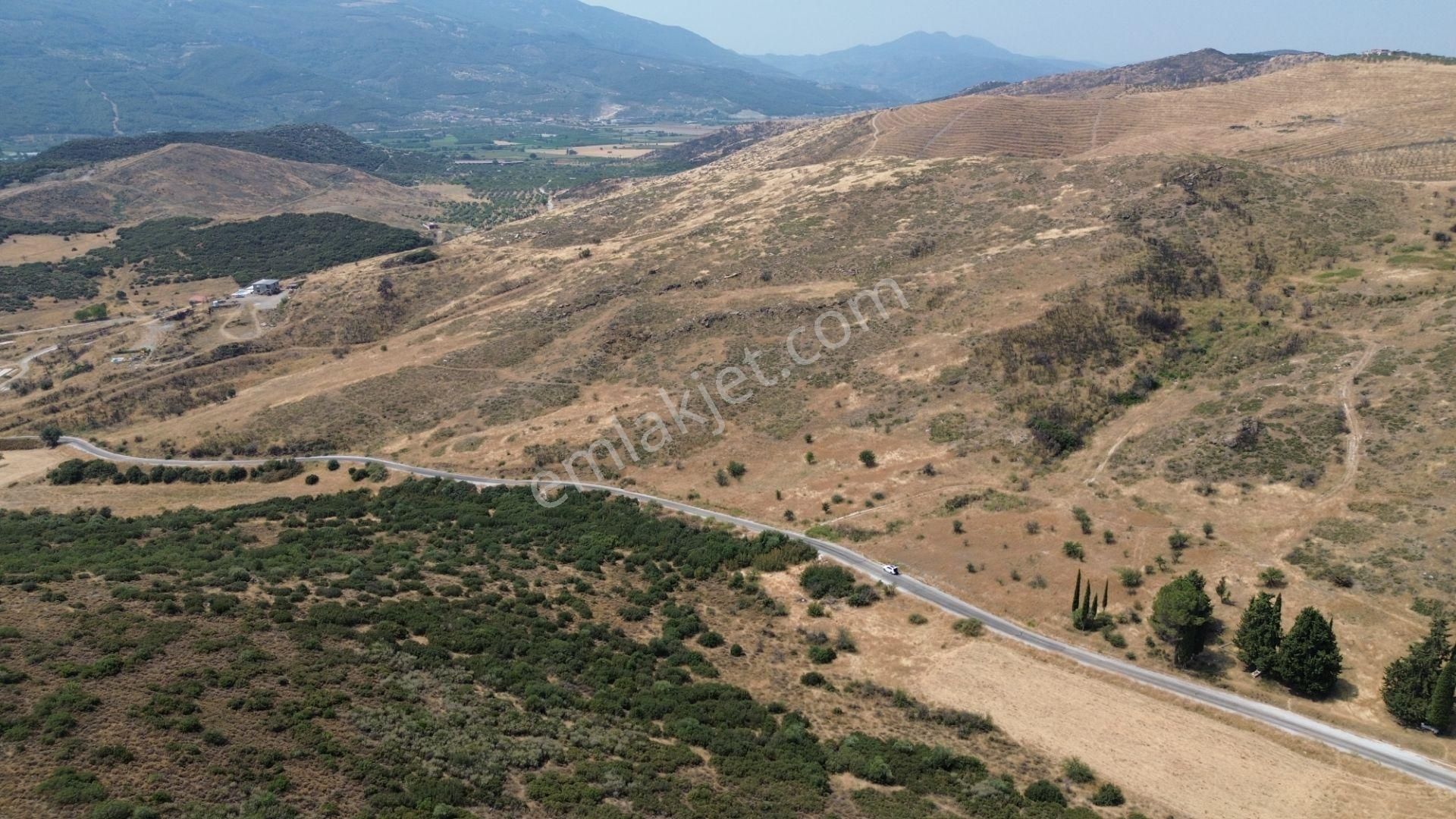 İzmir Tire Karateke Mahallesi'nde Satılık Tarla! - Görsel 3