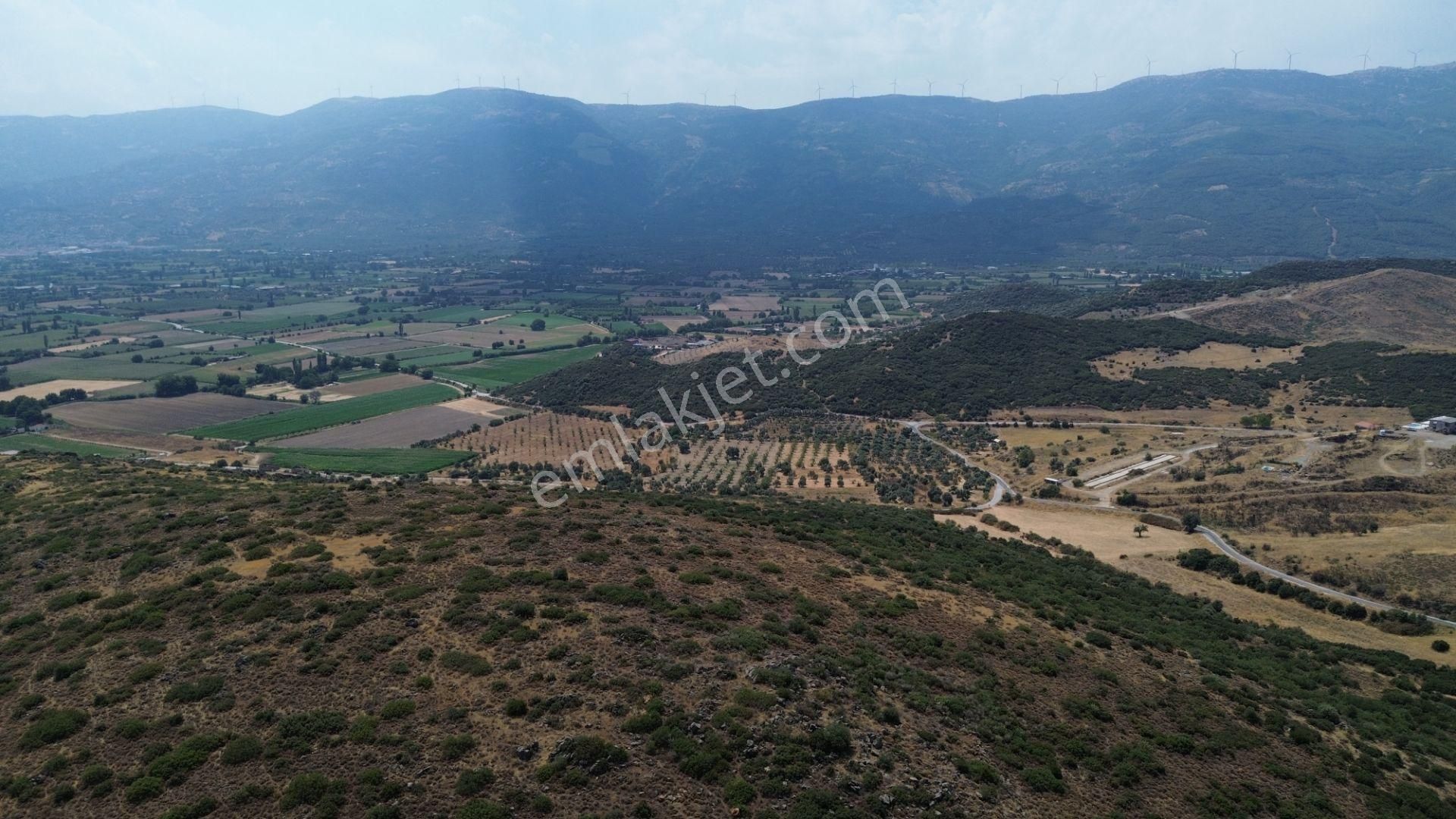 İzmir Tire Karateke Mahallesi'nde Satılık Tarla! - Görsel 4