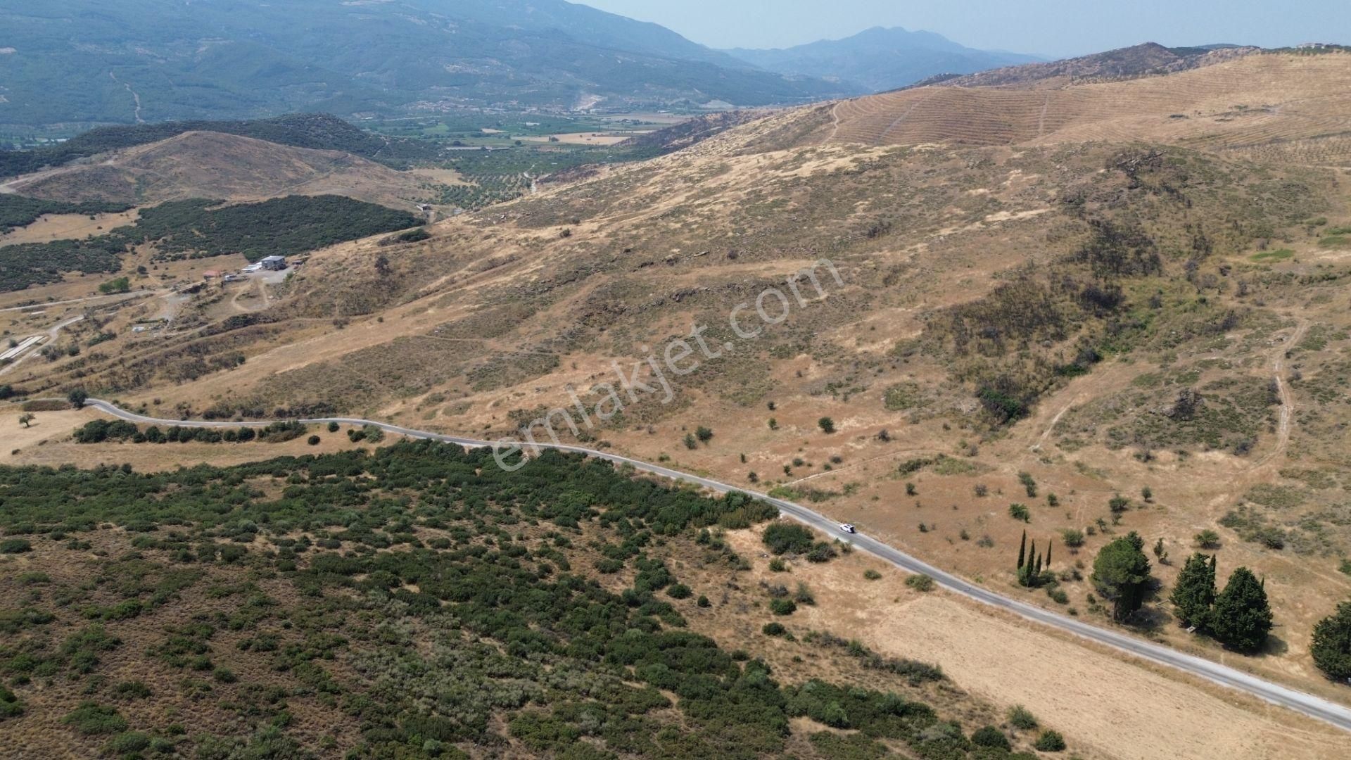 İzmir Tire Karateke Mahallesi'nde Satılık Tarla! - Görsel 2