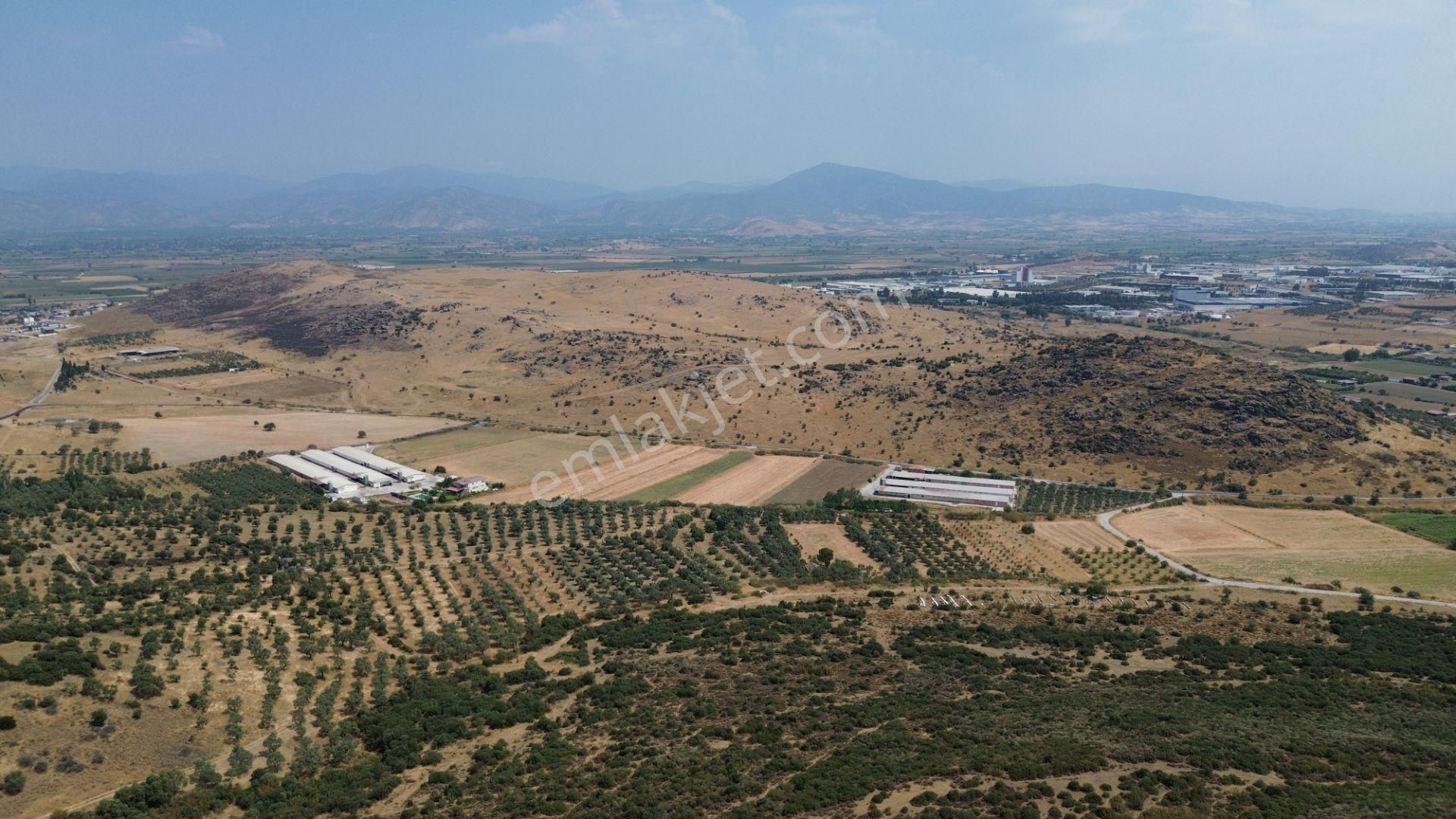 İzmir Tire Karateke Mahallesi'nde Satılık Tarla! - Görsel 6