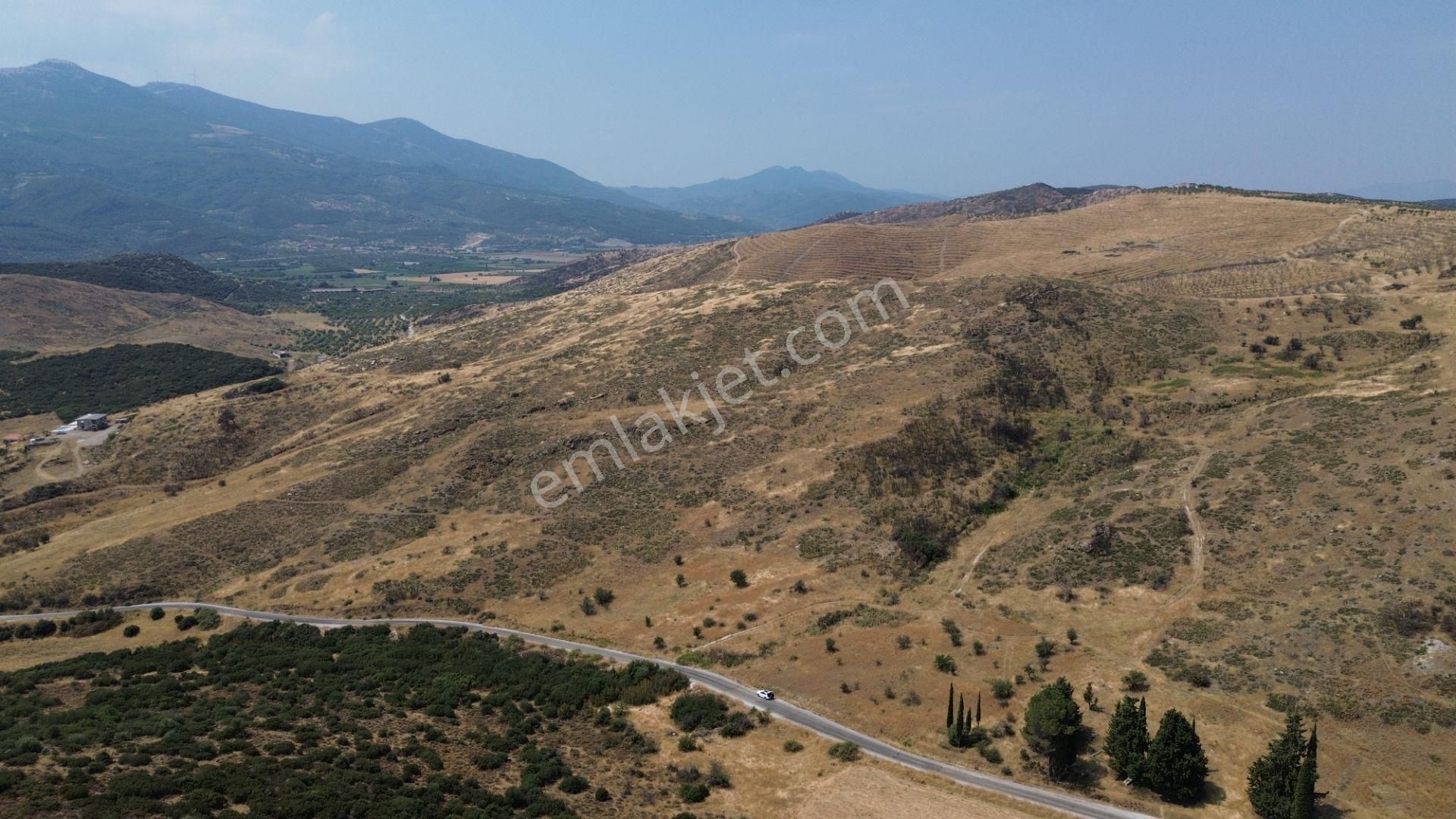 İzmir Tire Karateke Mahallesi'nde Satılık Tarla! - Görsel 7