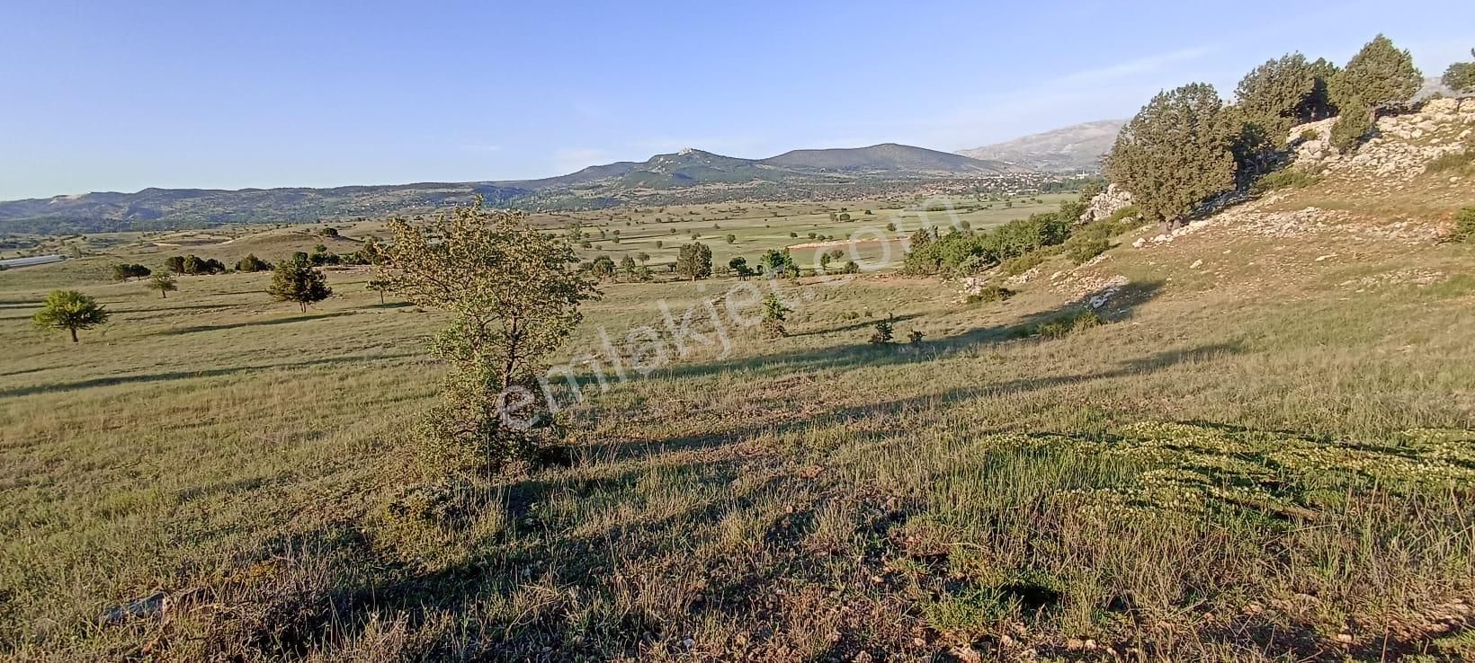 Aciil Aciill Seydikemer Yayla Karaçulha Manzaraya Hakim Müstakil Tapulu Arazi