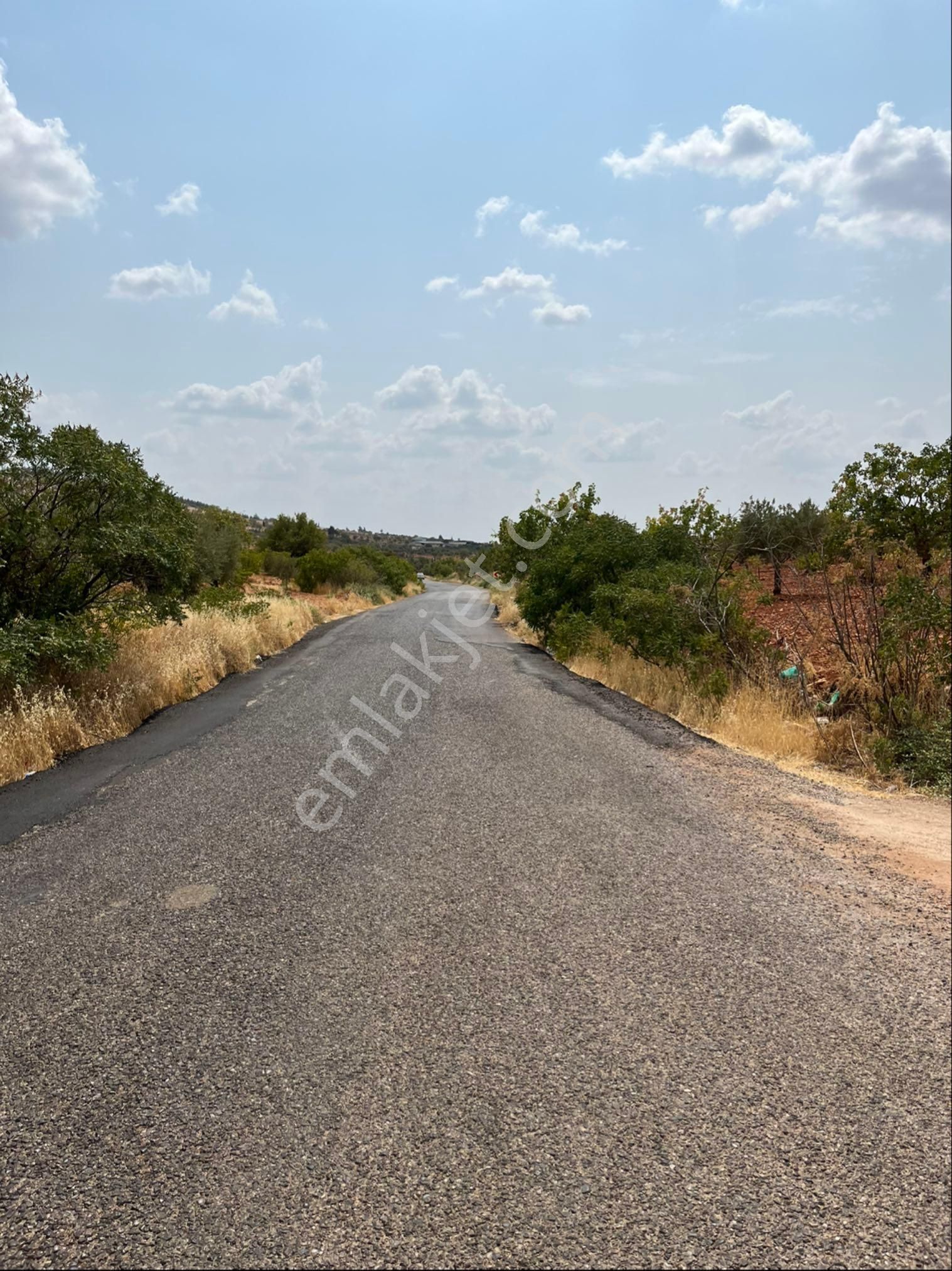 Akdeniz Emlak Asfata Yakın Fıstıklık 1361 Mt Oguzeli Subaşı