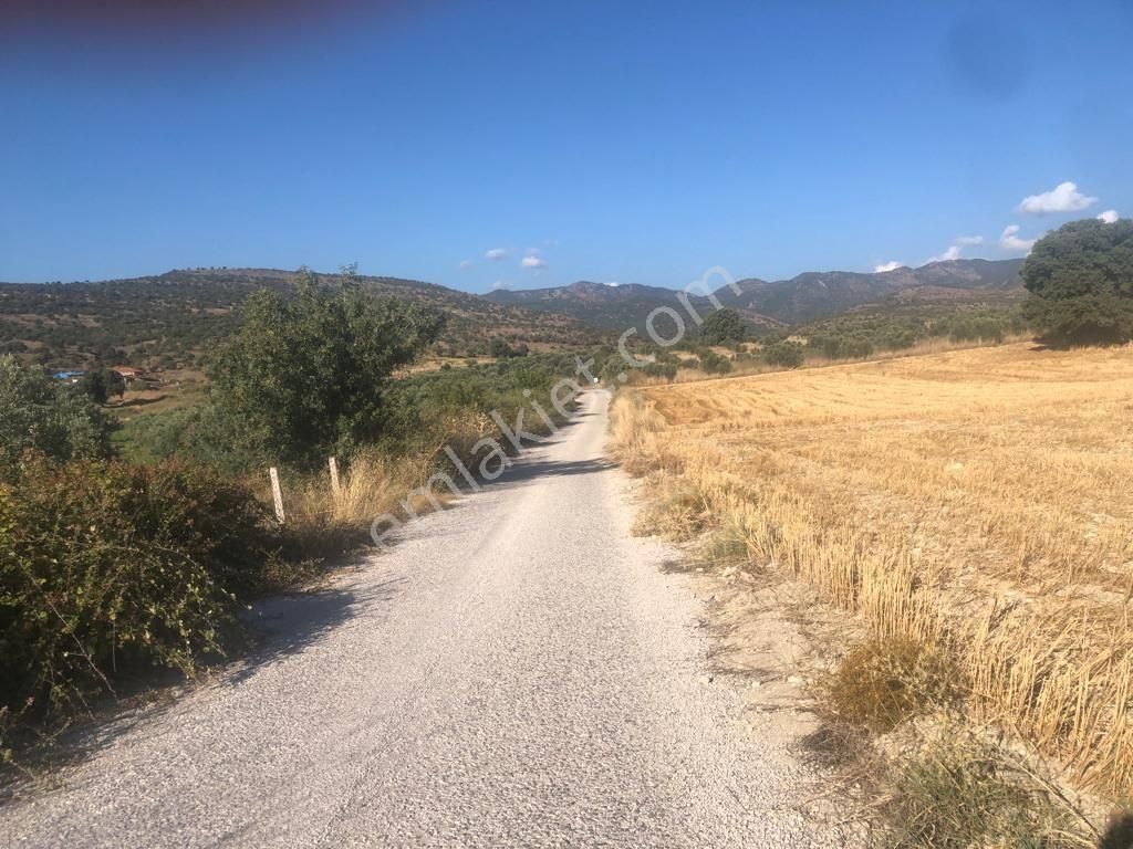 İzmir Dikili'de Deniz Manzaralı 2000 M2 Kooperatif Arsası - Görsel 4