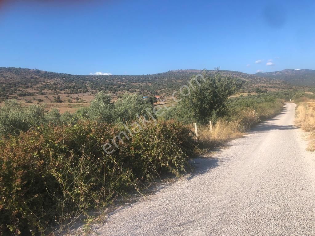 İzmir Dikili'de Deniz Manzaralı 2000 M2 Kooperatif Arsası - Görsel 3