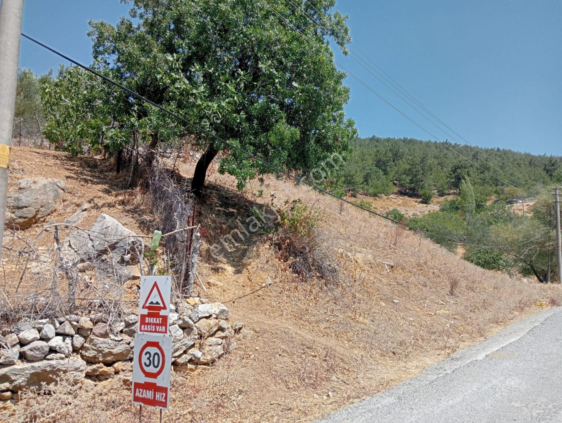 Bergama Çamoba Köyünde 170 M2 İmarlı Arsa - Görsel 8