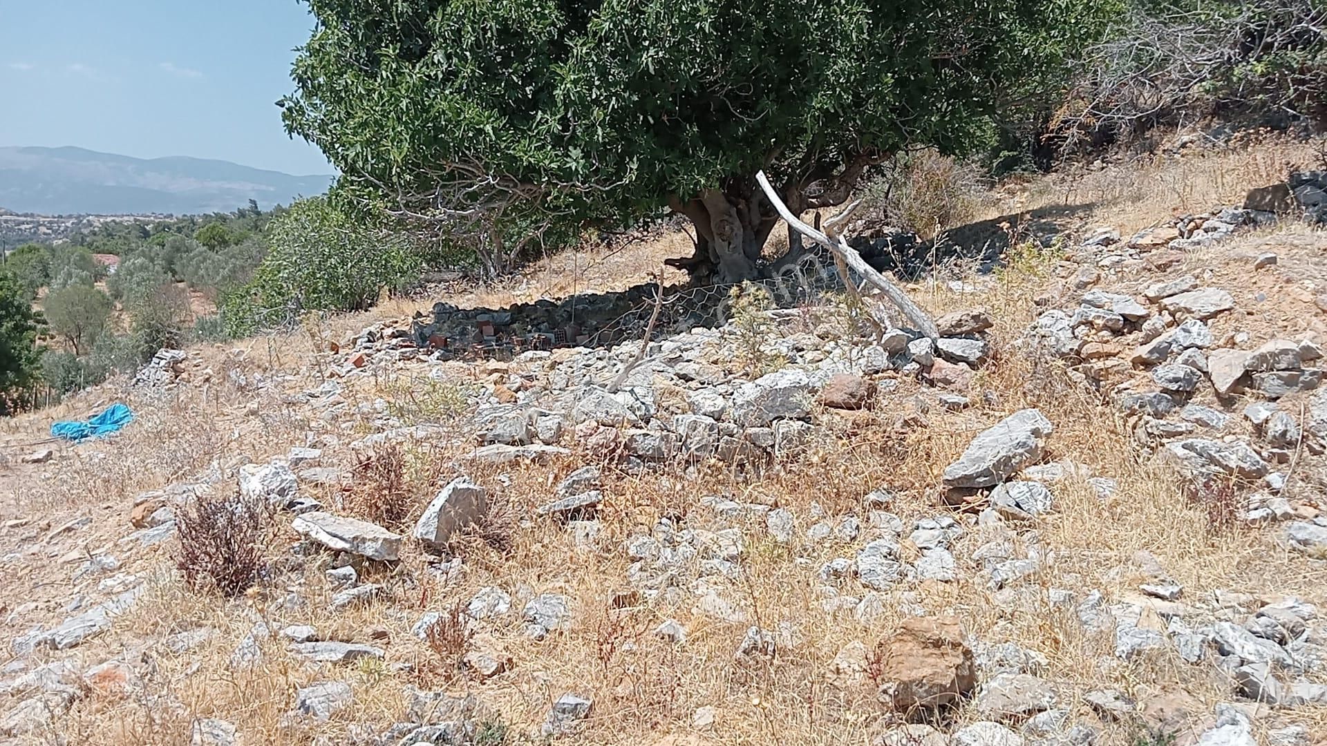 Komutanemlak'dan Çamoba'da 40 M2 Arsa - Görsel 19