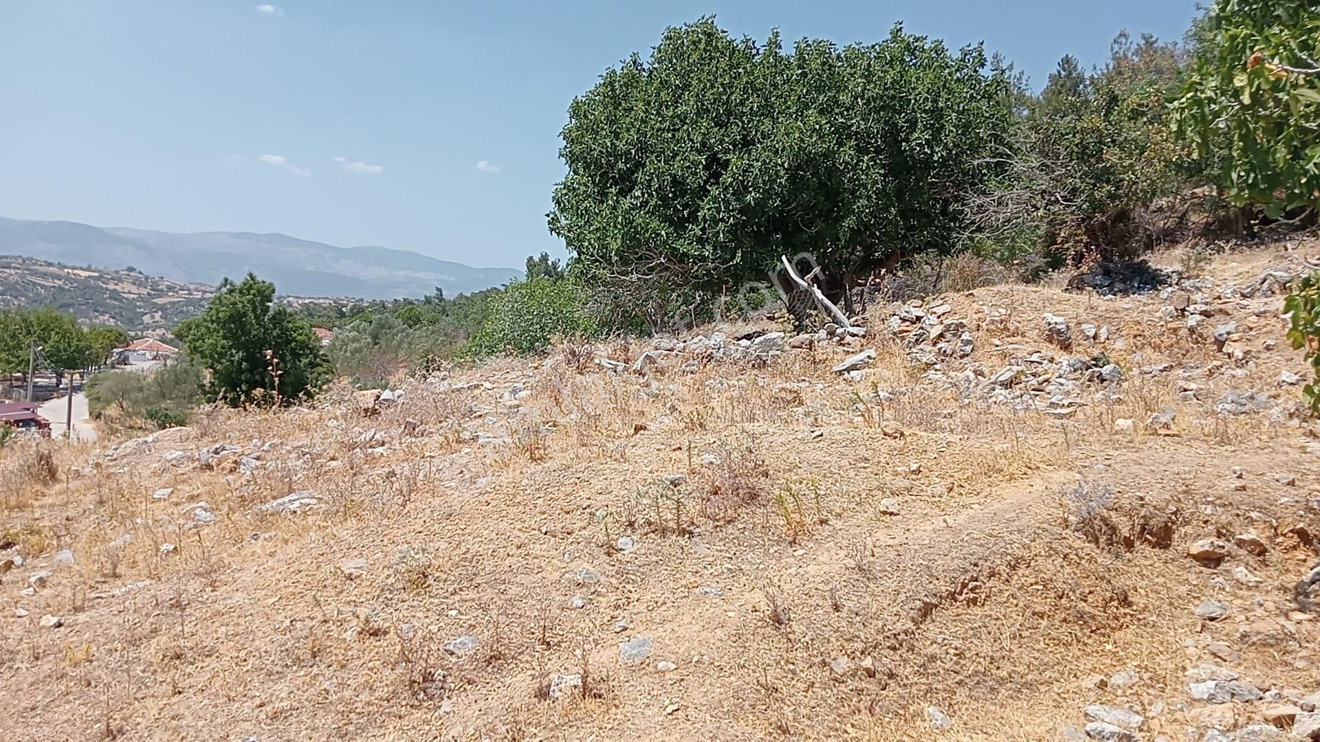 Komutanemlak'dan Çamoba'da 40 M2 Arsa - Görsel 21