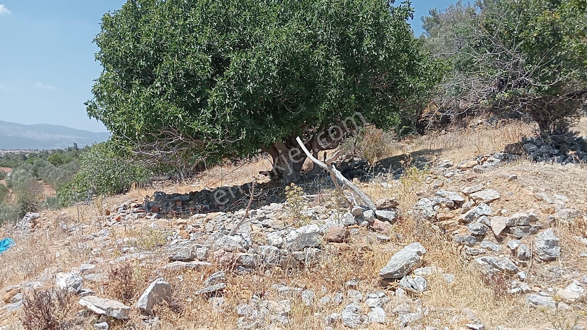 Komutanemlak'dan Çamoba'da 40 M2 Arsa - Görsel 18