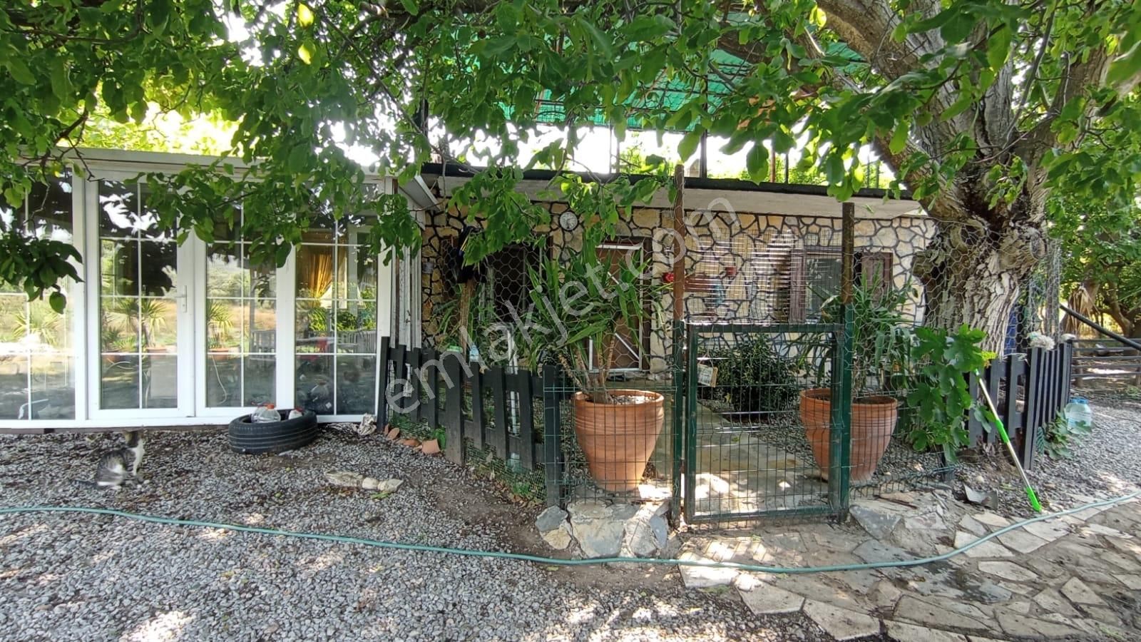 Muğla Milas Danişmen'te Satılık Bahçe - Görsel 11