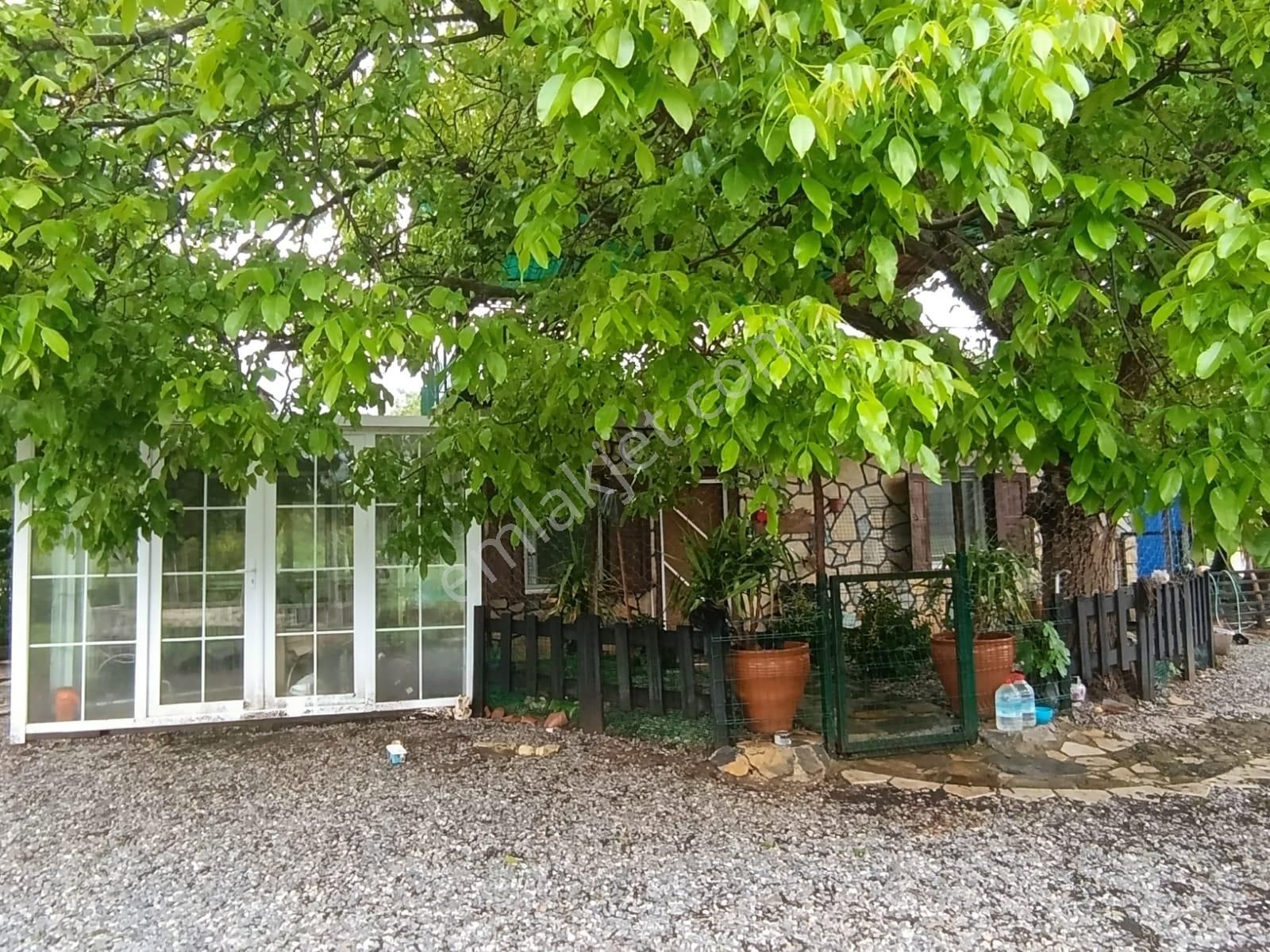 Muğla Milas Danişmen'te Satılık Bahçe - Görsel 19