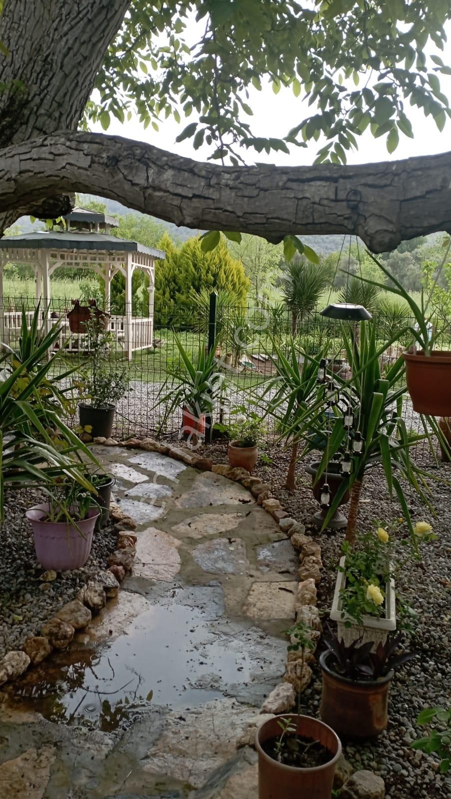 Muğla Milas Danişmen'te Satılık Bahçe - Görsel 9