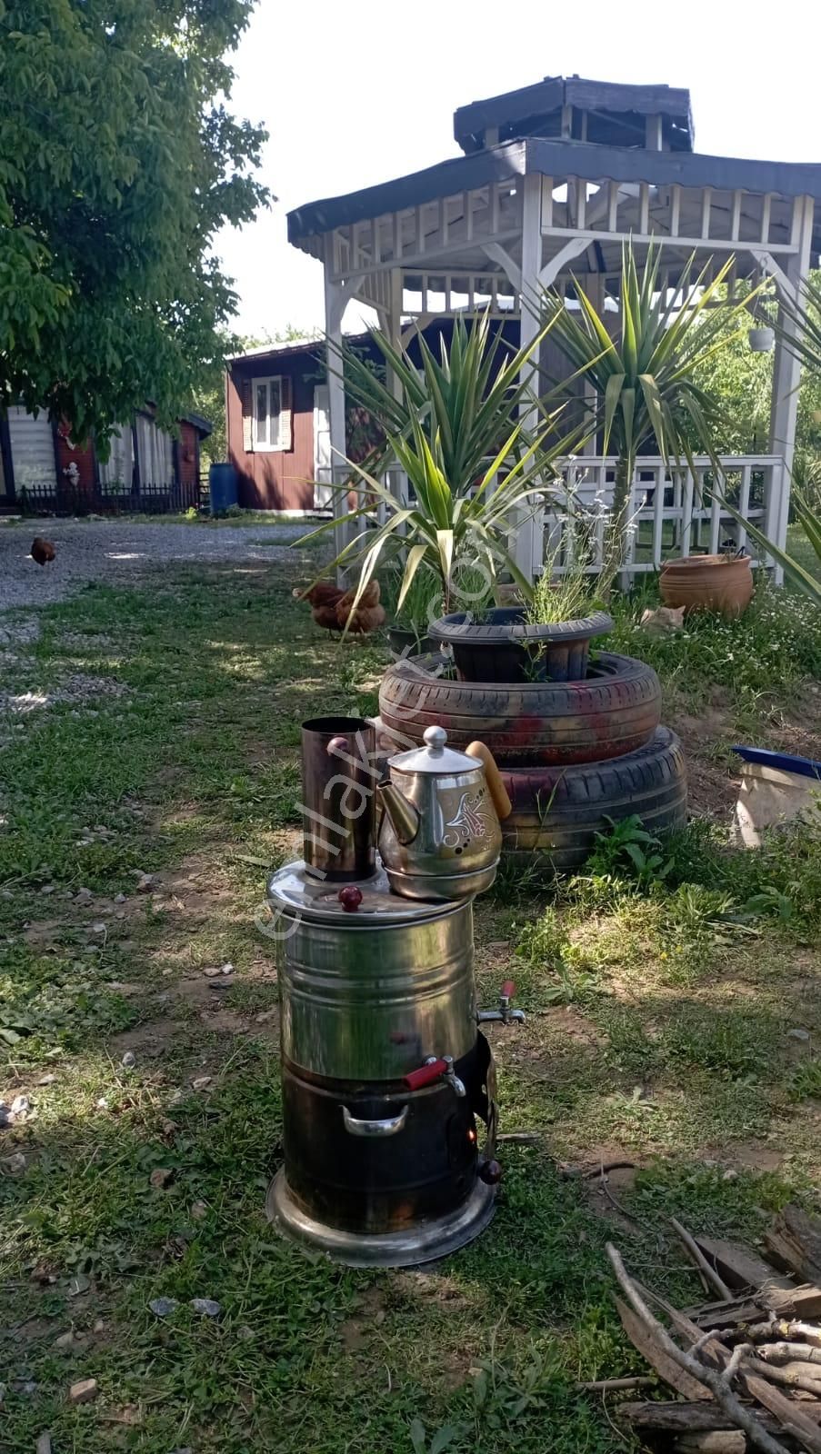 Muğla Milas Danişmen'te Satılık Bahçe - Görsel 28