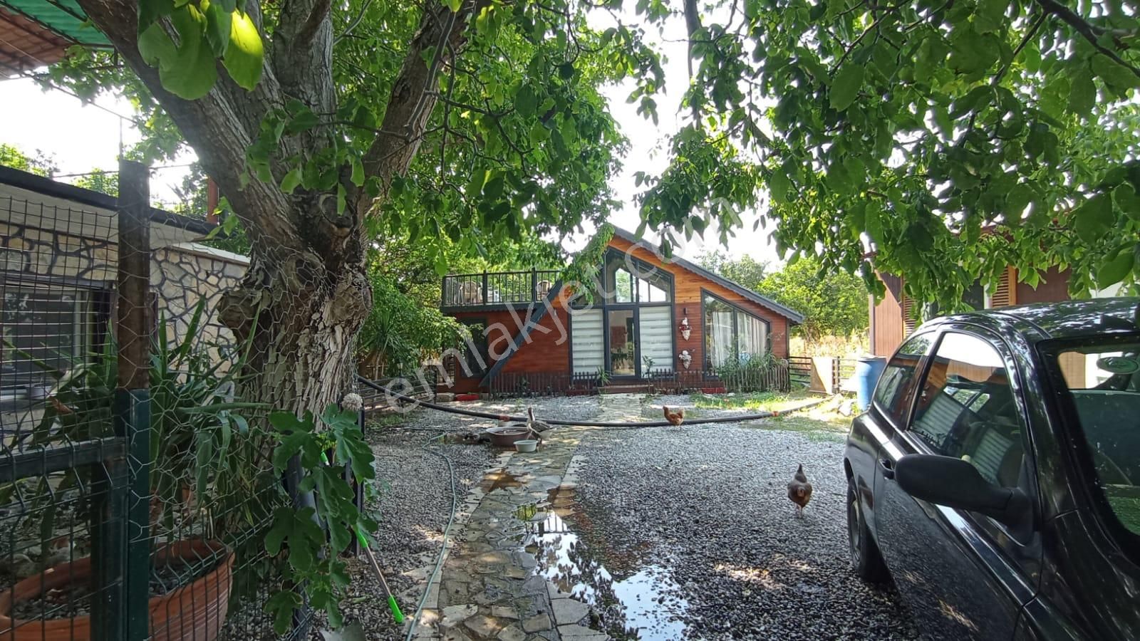 Muğla Milas Danişmen'te Satılık Bahçe - Görsel 10