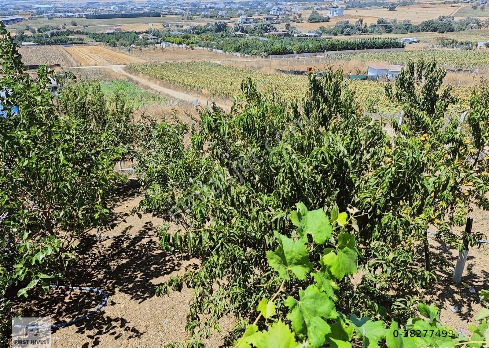 Silivri Ortaköy'de Satılık 350 M² Tarla - Görsel 7