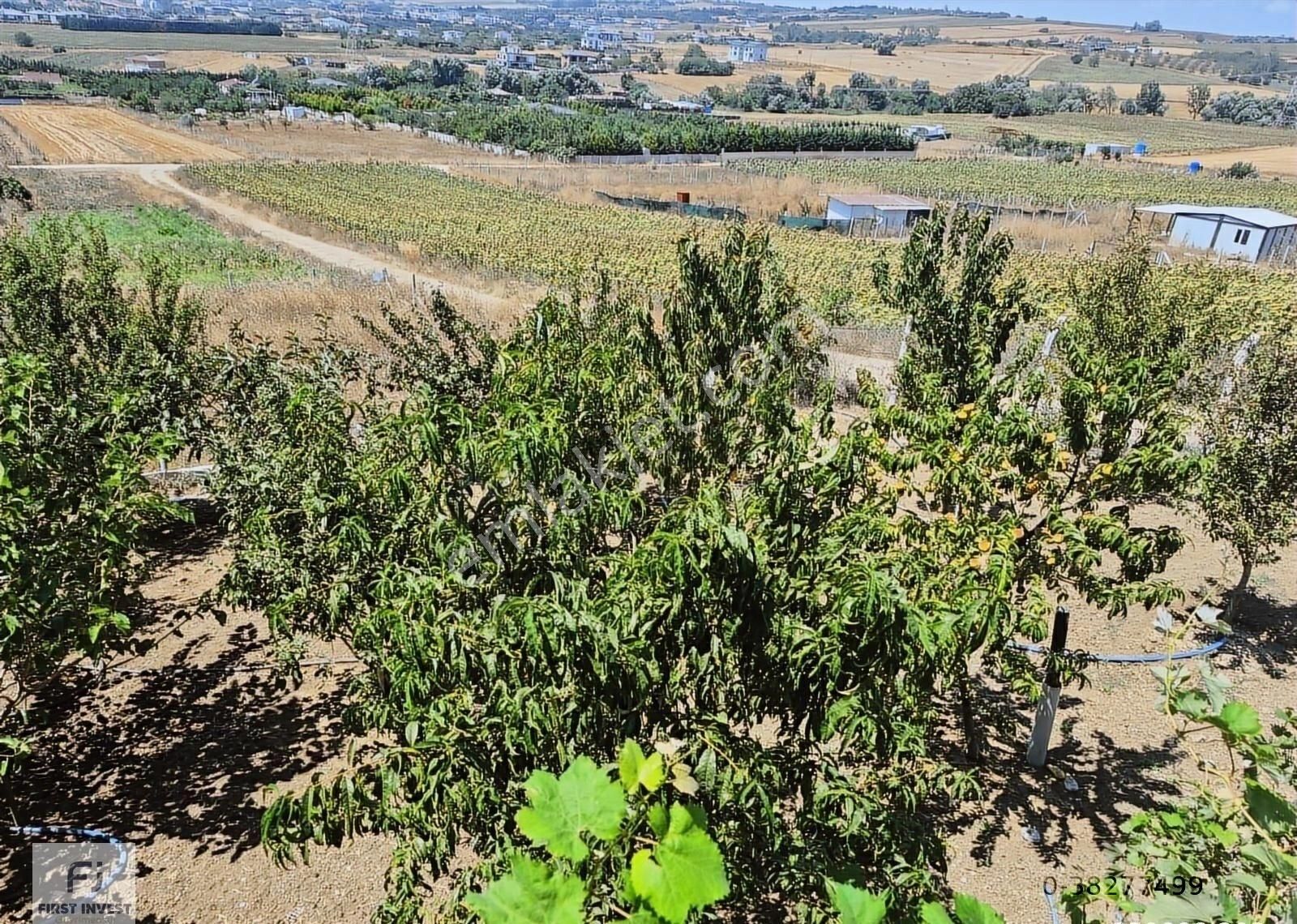 Silivri Ortaköy'de Satılık 350 M² Tarla - Görsel 6