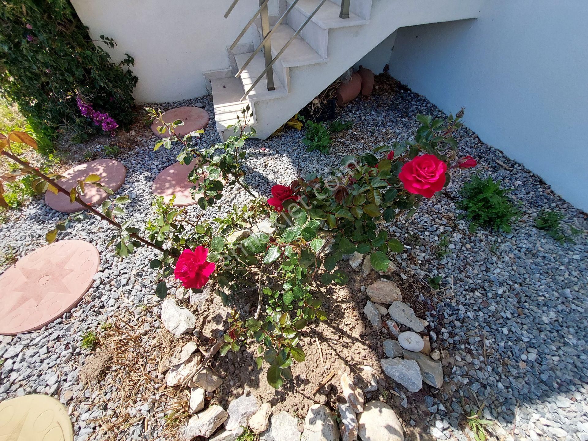 Denize 600 Mfull Panoramik Deniz,doğa Ve Havuz Manzaralı - Görsel 24