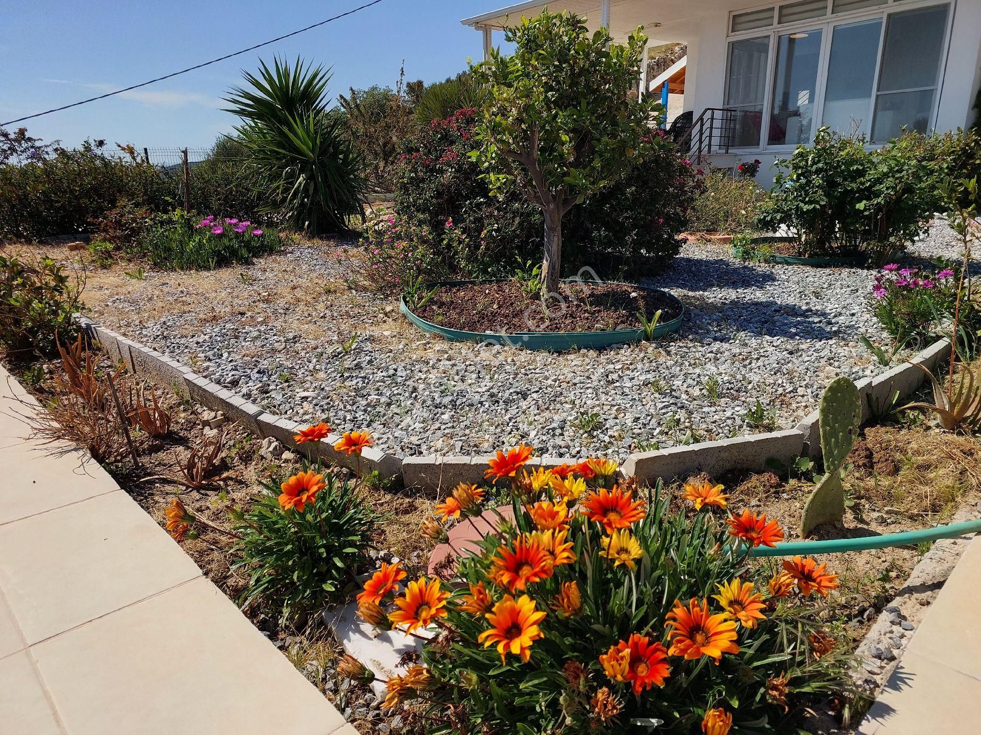 Denize 600 Mfull Panoramik Deniz,doğa Ve Havuz Manzaralı - Görsel 7