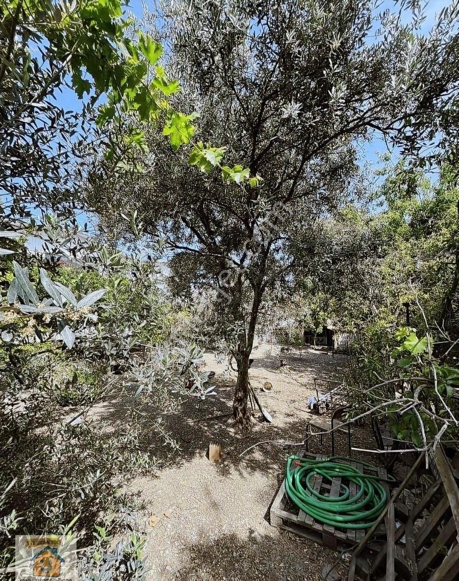 İzmir Buca Kaynaklar Zafer Mah. Satılık Tarla - Görsel 8