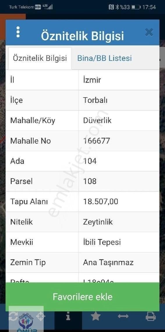İzmir Torbalı'da 500 Ağaçlı Zeytinlik
