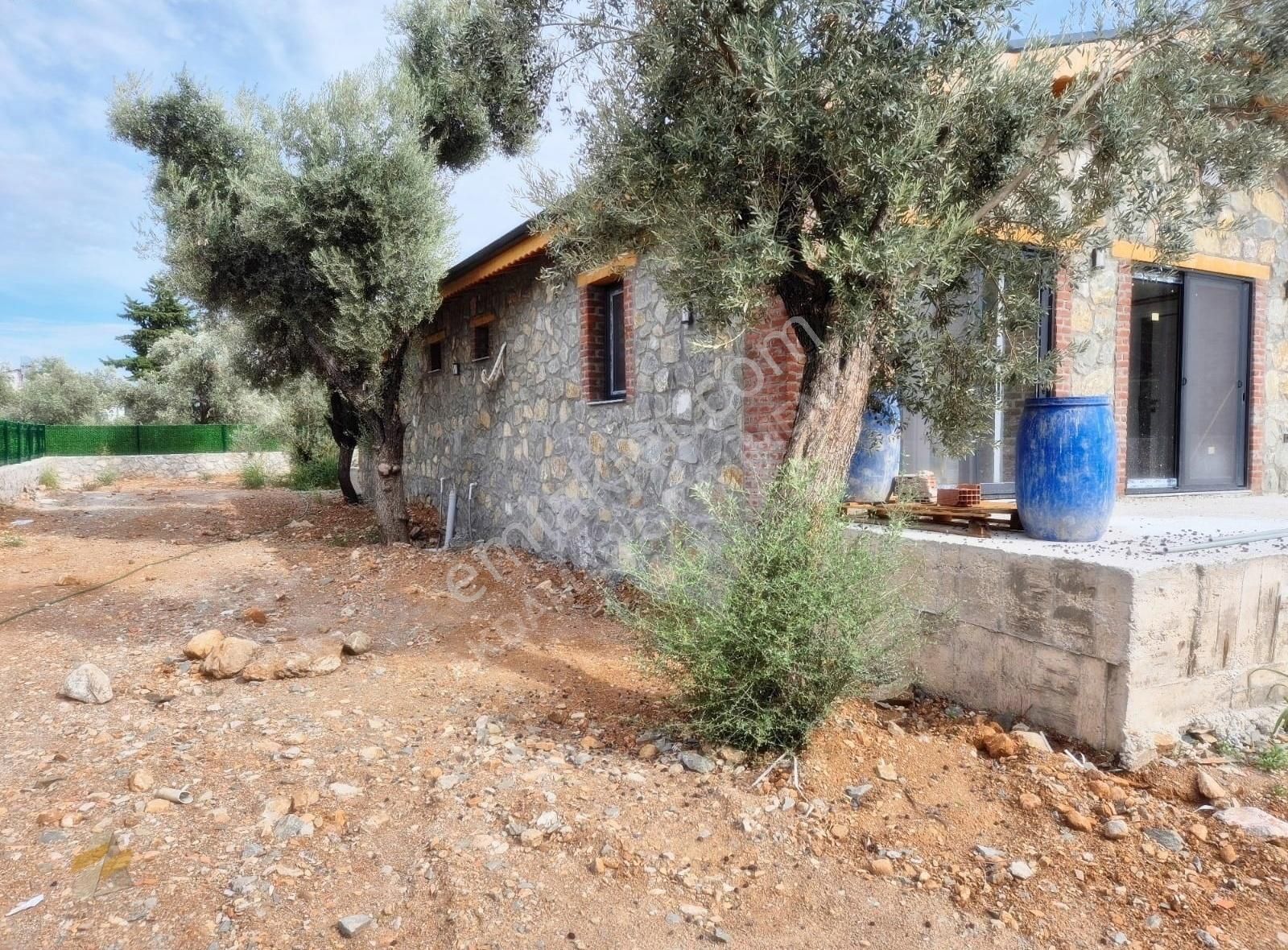 Esenköy'de 2 Ayrı İskanlı 2 Villa Tek Villa Fiyatına - Görsel 2