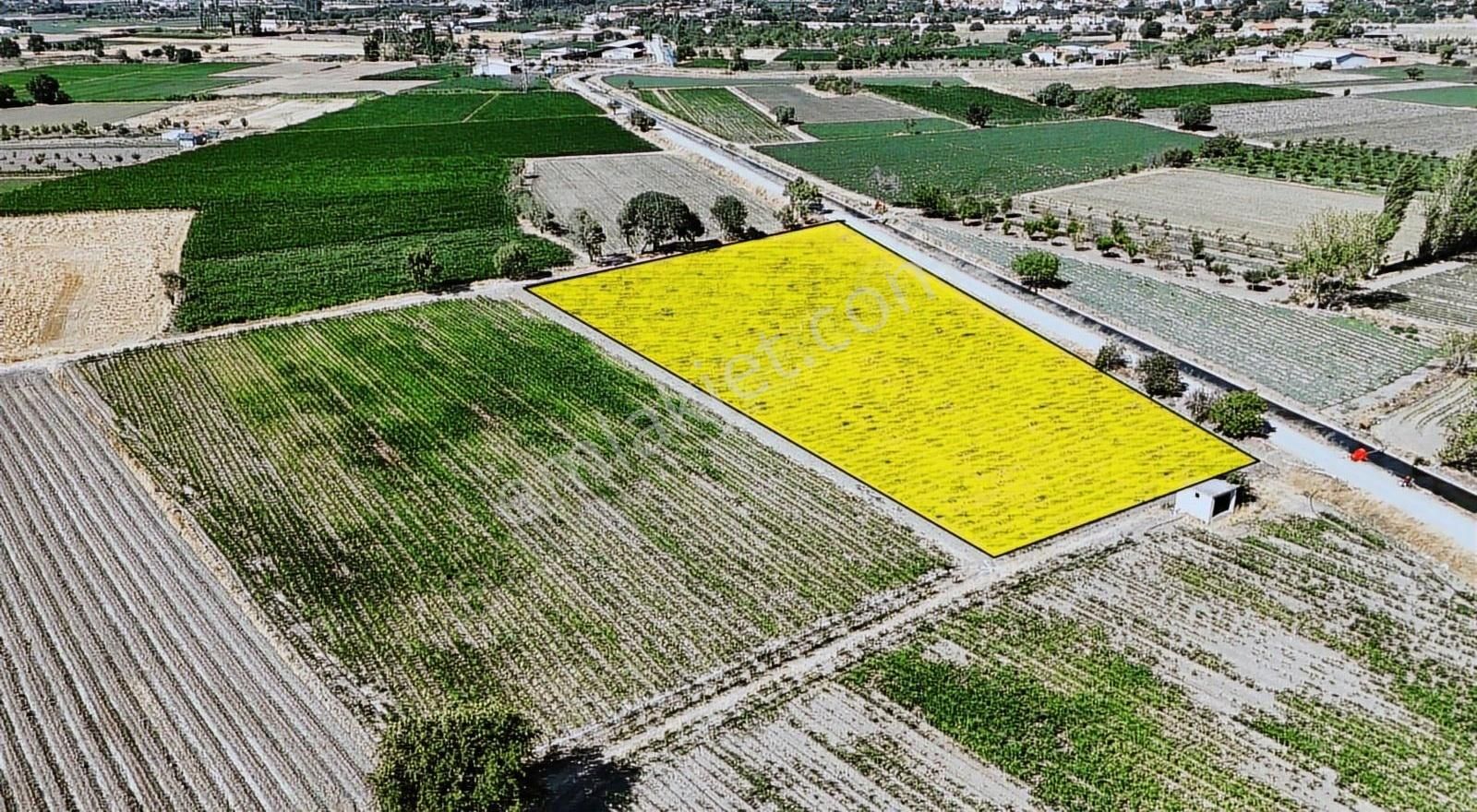 Bigadiç Merkez Fethibey Mah'de Satılık 6100 M2 Sulak Arazi