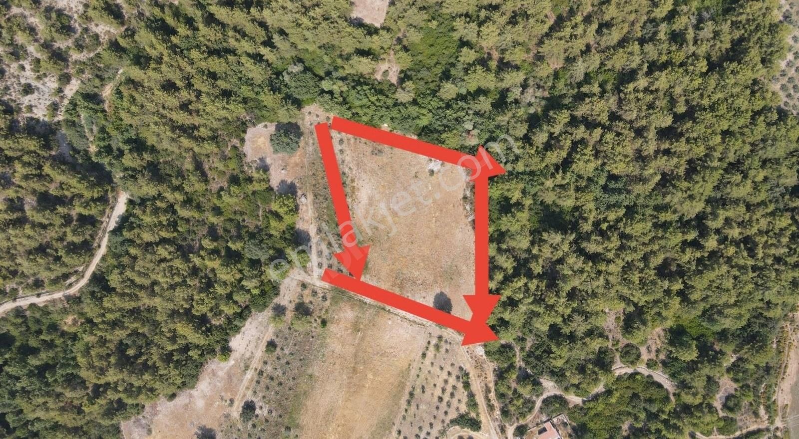 Yaka'da Satılık 2b