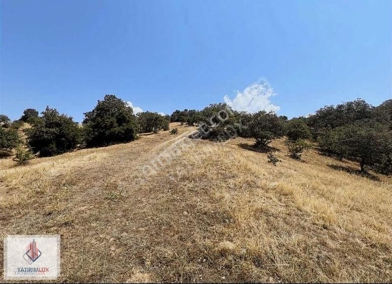 11.890 M2 Tarla