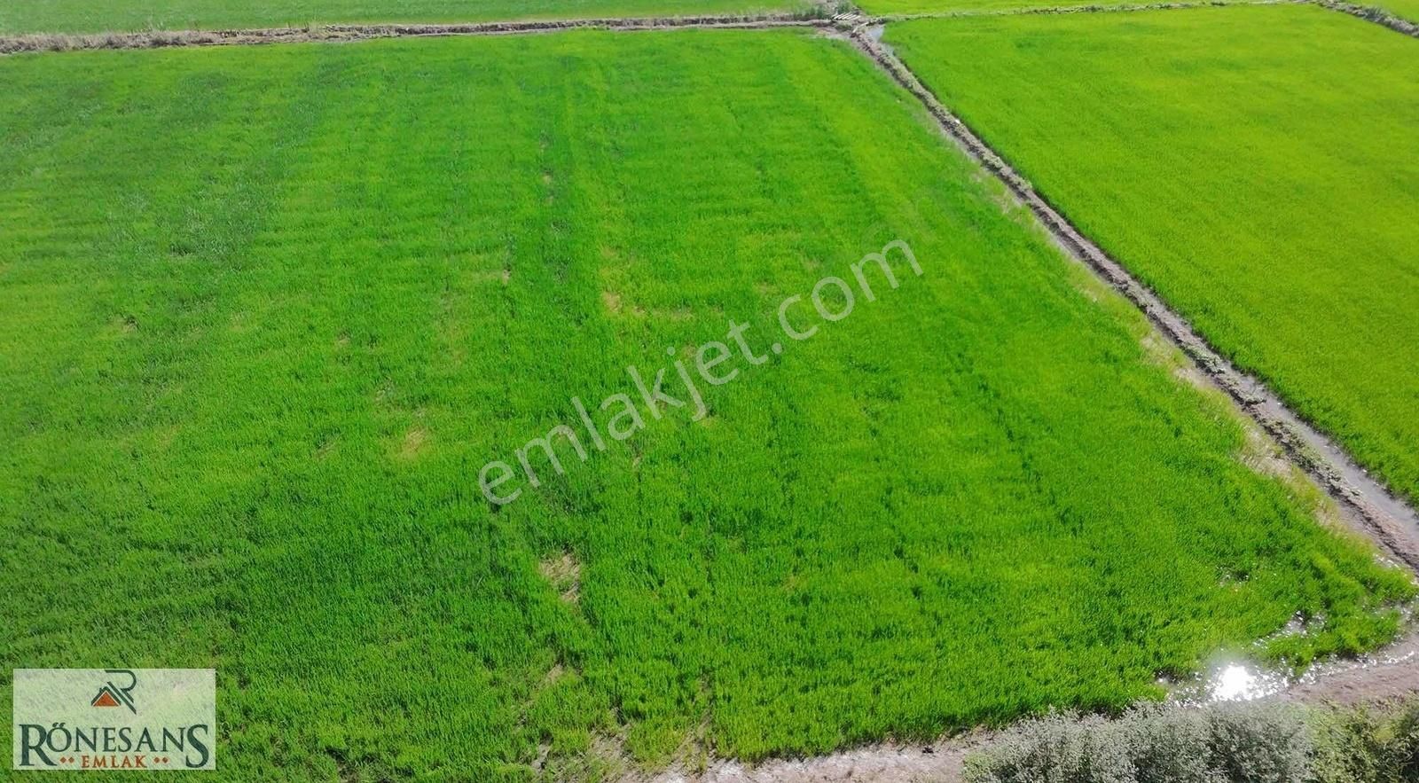 Rönesans Emlaktan - Görsel 2