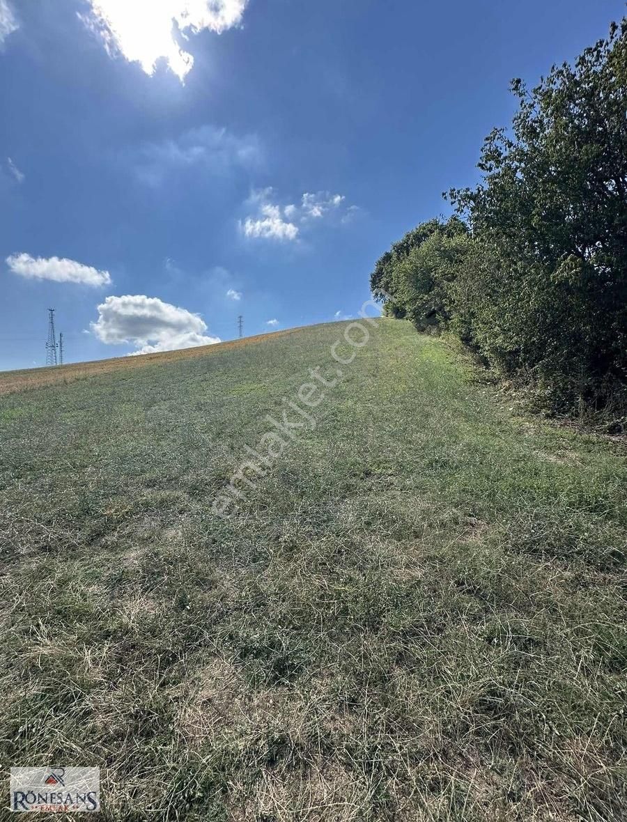 Rönesans Emlaktan - Görsel 7