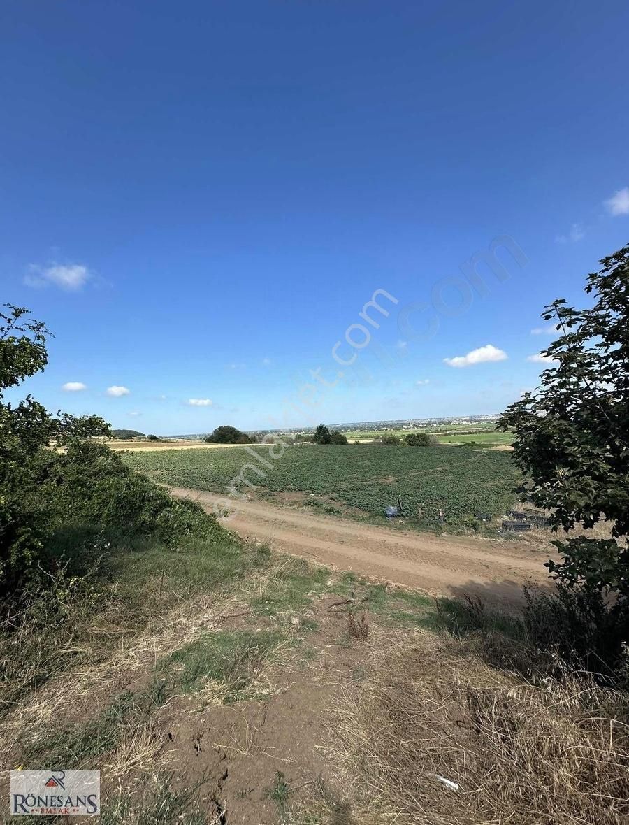 Rönesans Emlaktan - Görsel 4