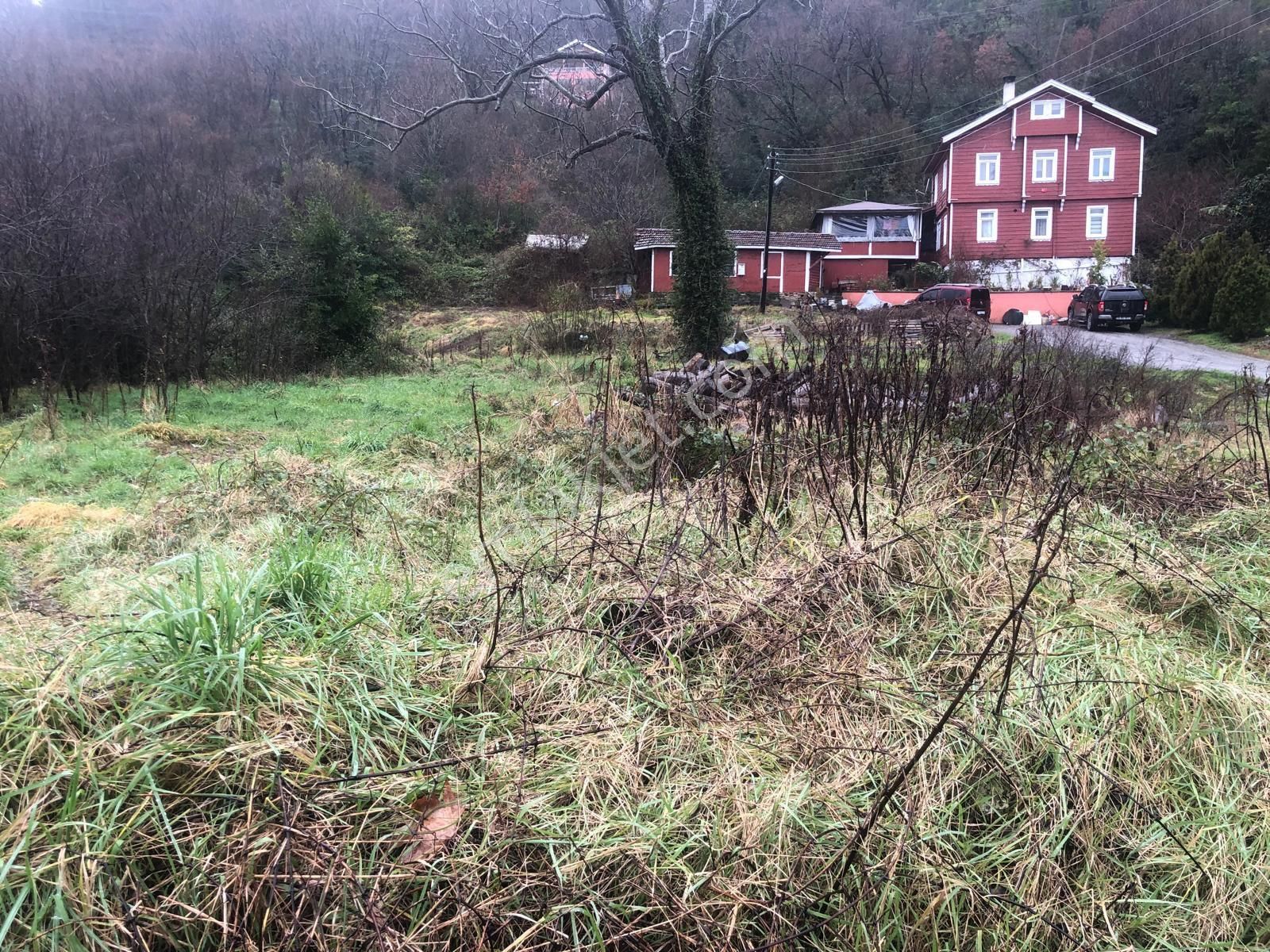 İnebolu Nun İncisi Evrenye De Bahçe Tapulu 150 M2 Arsa