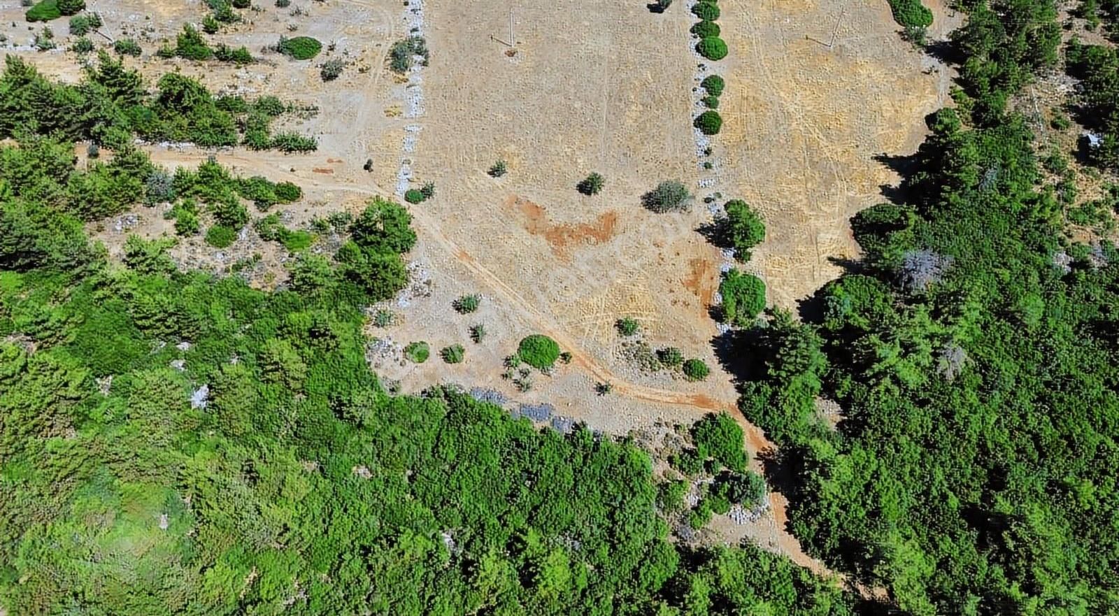 Bodrum Mazı Yatırım İçin Gerçek Fırsat Müstakil 6250 M2 Tarla