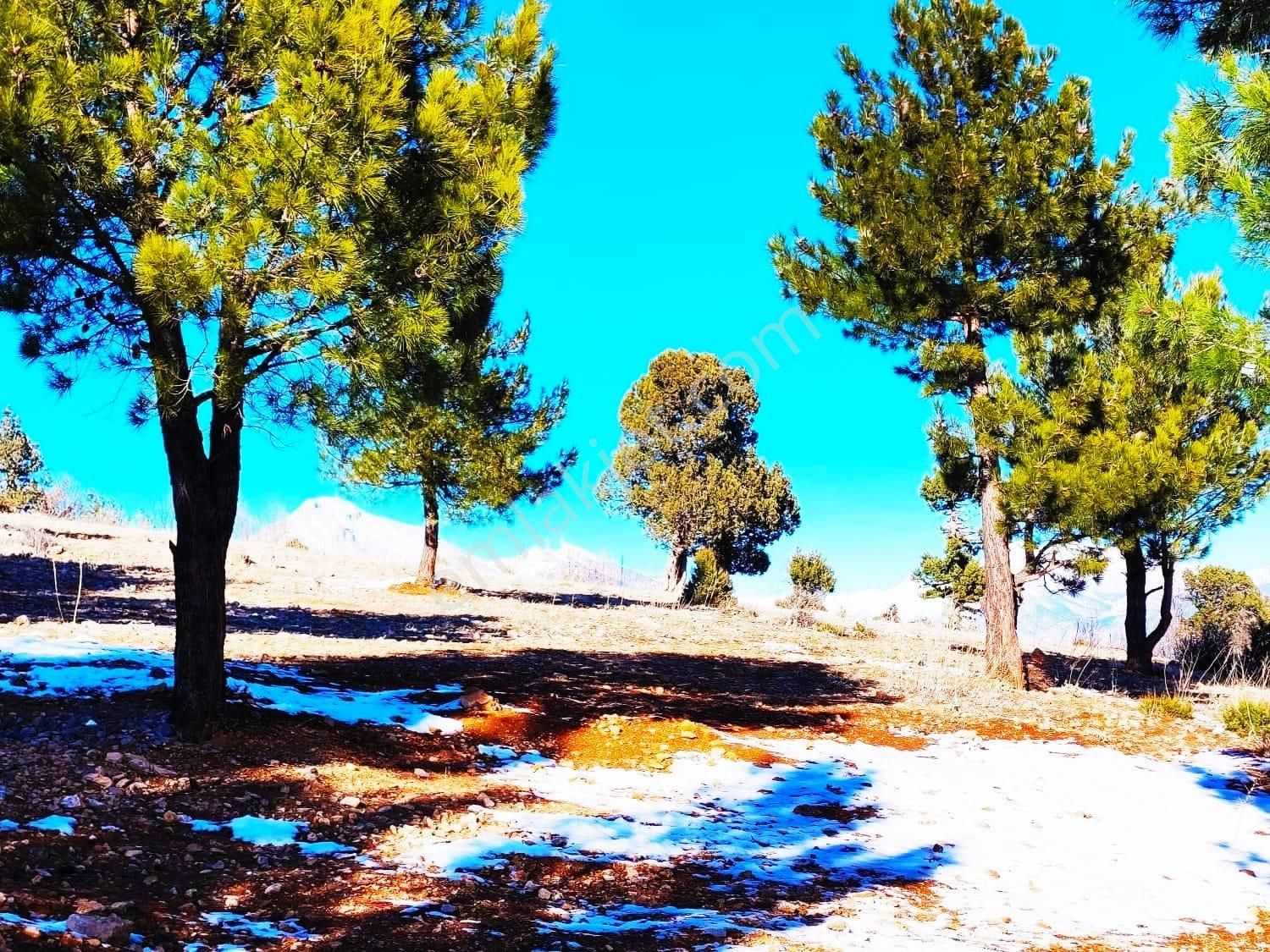 Pozantı Kar Emlaktan Yeni Konacıkta Yüksek Konumlu 370 M2 Arsa - Görsel 3