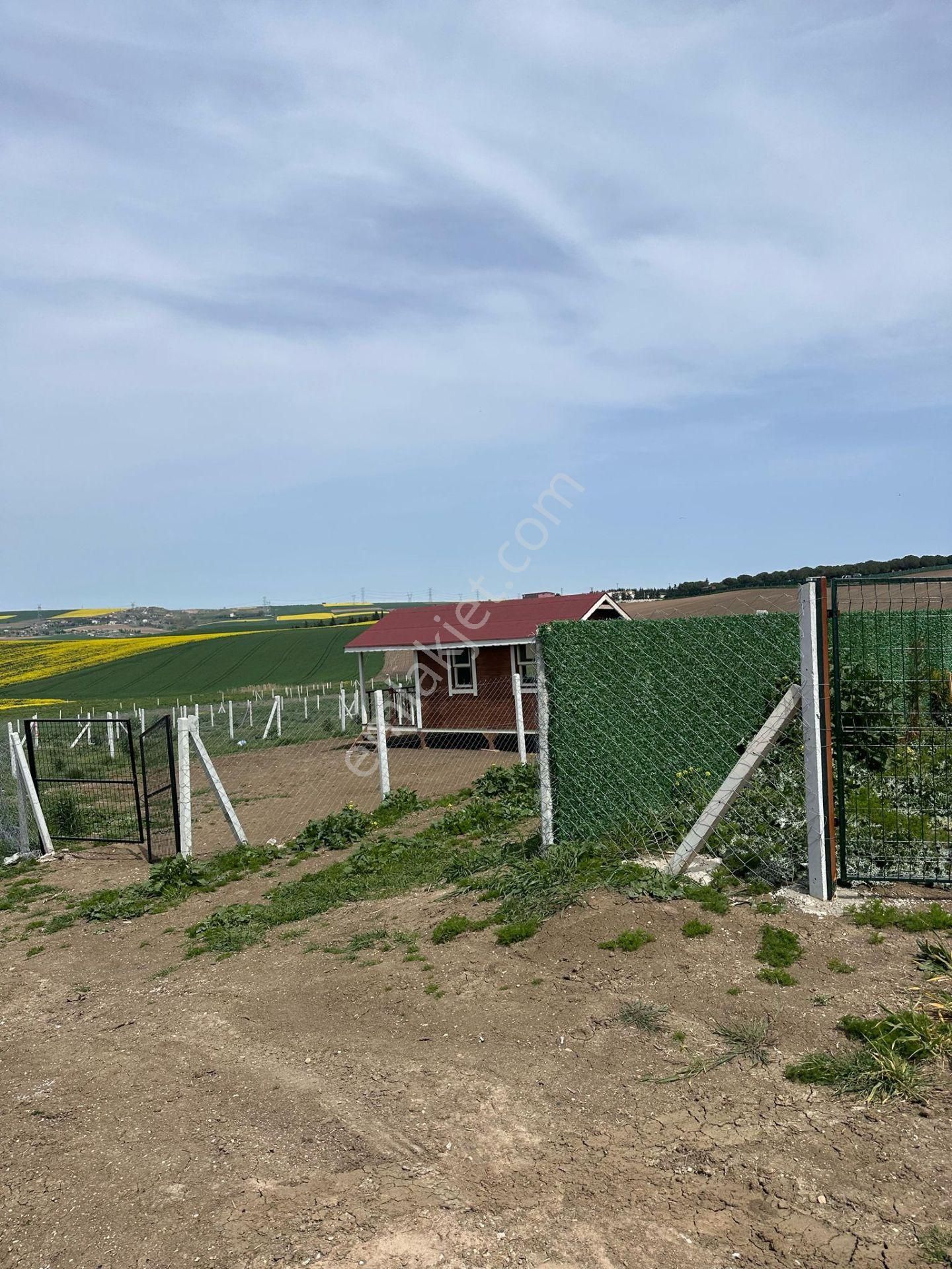 Marmaraereğlisi Çeşmeli Mahallesi Doğa Manzaralı 300m2 Satılık Kelepir Arsa
