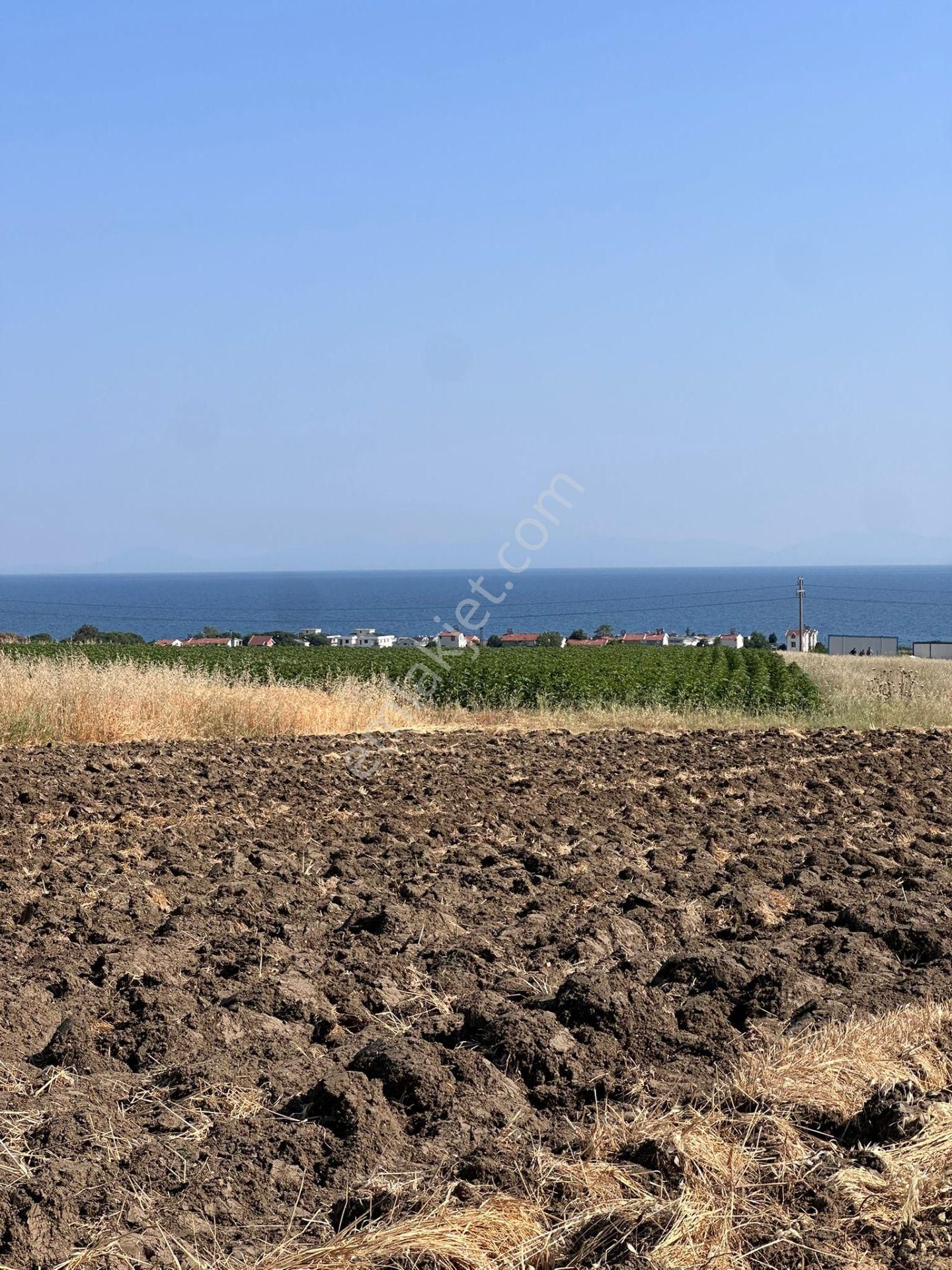 Yaza Özel Nota Arsa Ofisinden Kelepir Doğa Ve Deniz Manzaralı Kupon Arsalar