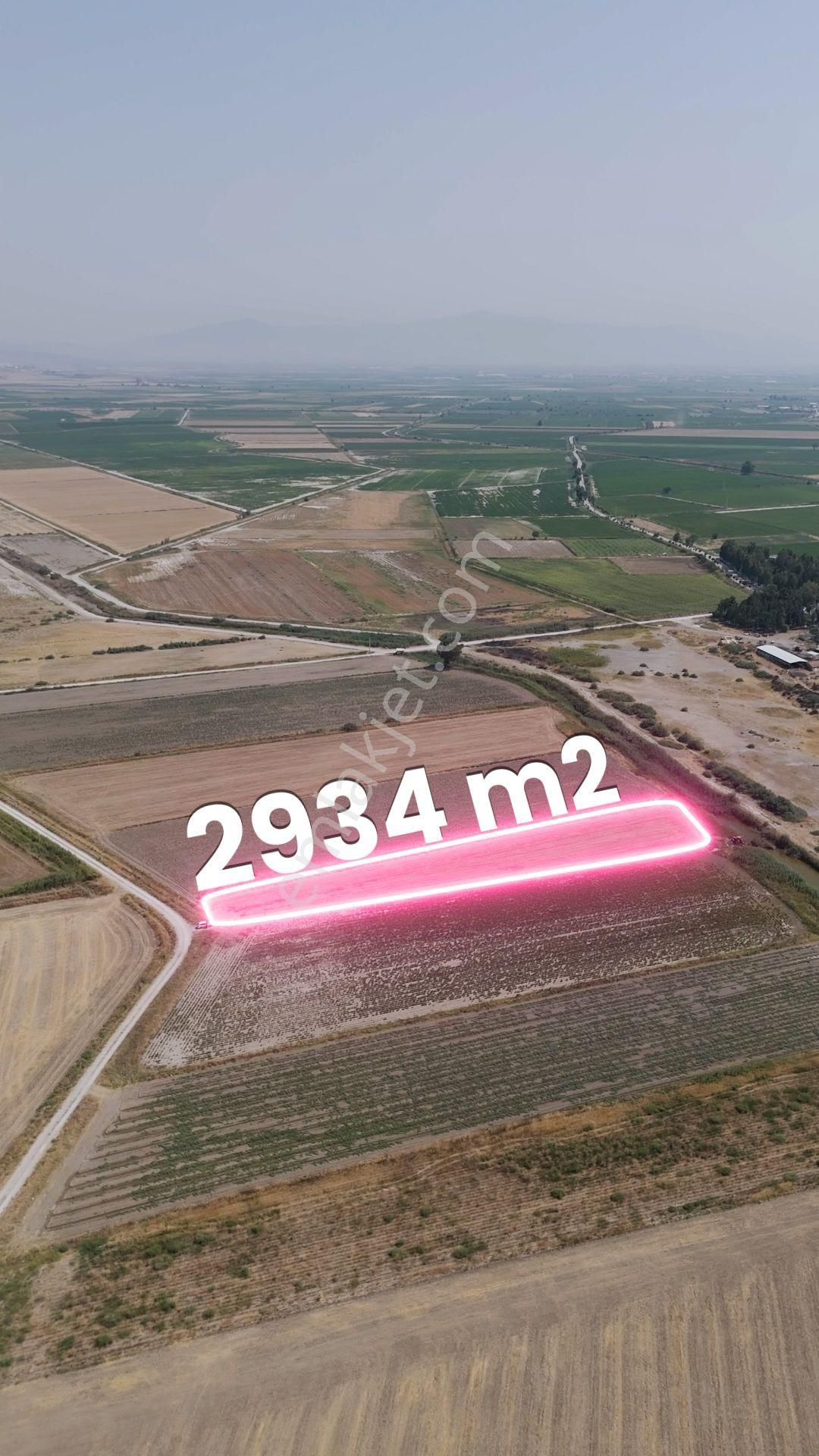 Menemen Süzbeyli'de Müstakil Tek Tapu 2934 M2 Verimli Tarla - Görsel 5